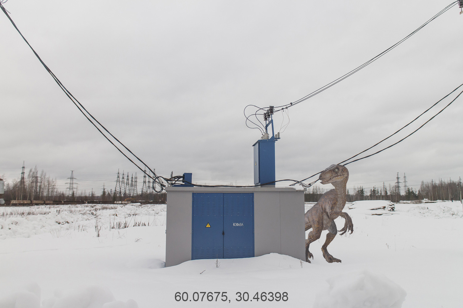 Дикая планета с 20 мая по 20 июля 2022