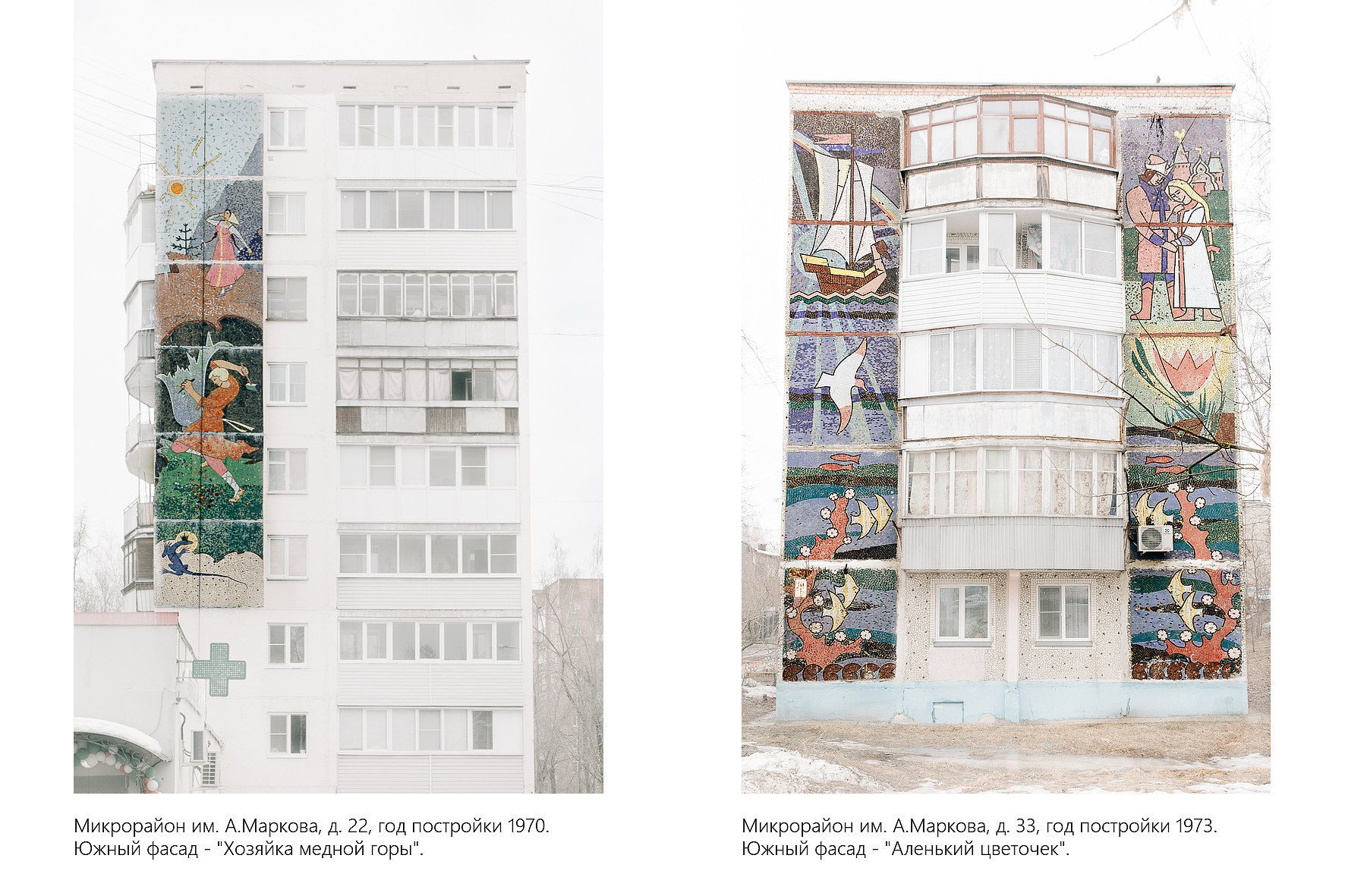 Дикая планета с 20 мая по 20 июля 2022