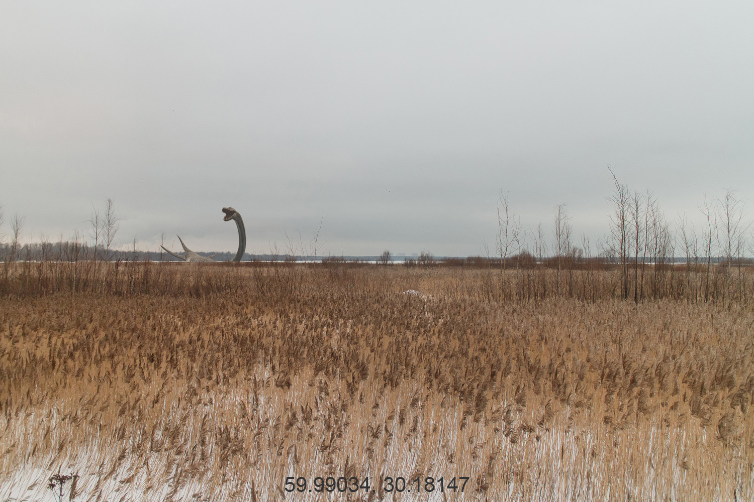 Дикая планета с 20 мая по 20 июля 2022