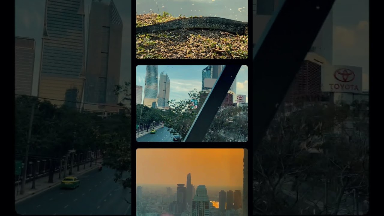 Filming life. POLINA MÔMOT