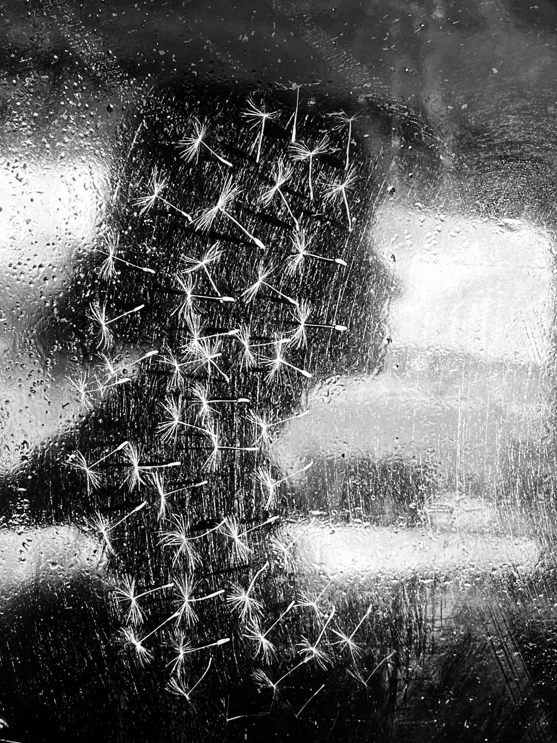 Алена Лучинина