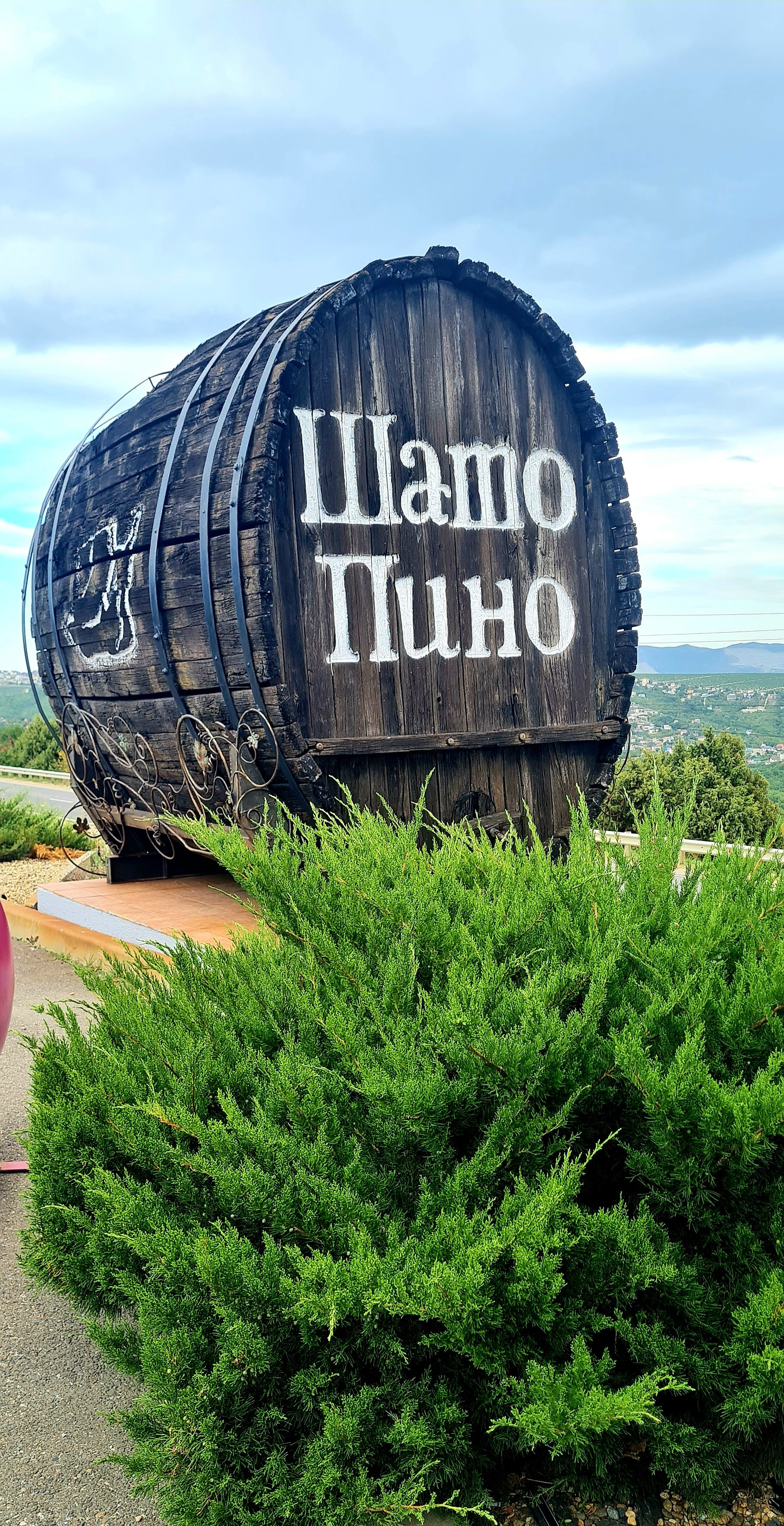 Организация свадьбы в Абрау-Дюрсо. Свадьба в Абрау-Дюрсо