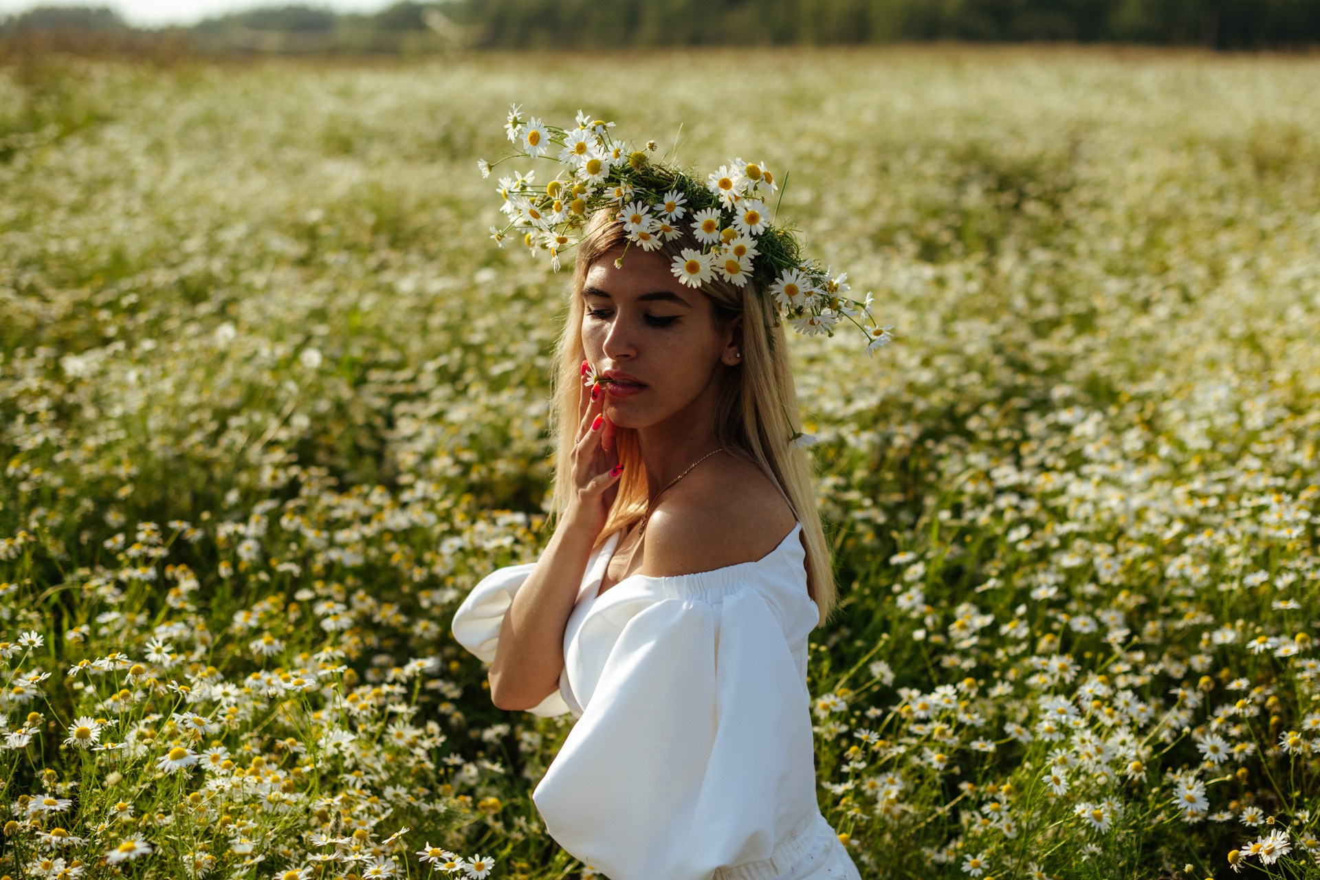 Летняя фотосессия в ромашковом поле. Профессиональный фото и видео контент для бизнеса