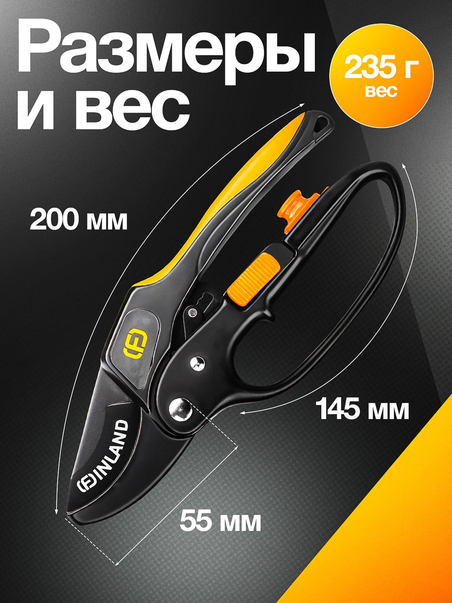 Vexora студия дизайна для e-commerce, рост продаж на Wildberries и Ozon