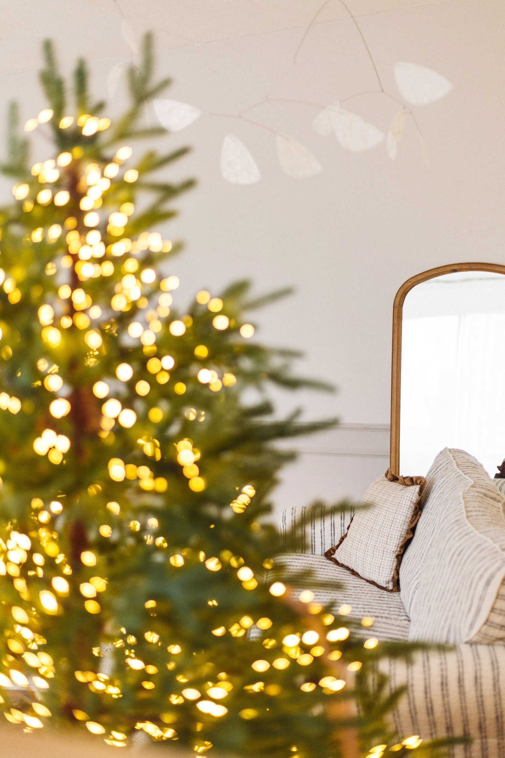 Фотограф Алена Латкина Екатерибург. Фотограф Алёна Латкина — Екатеринбург