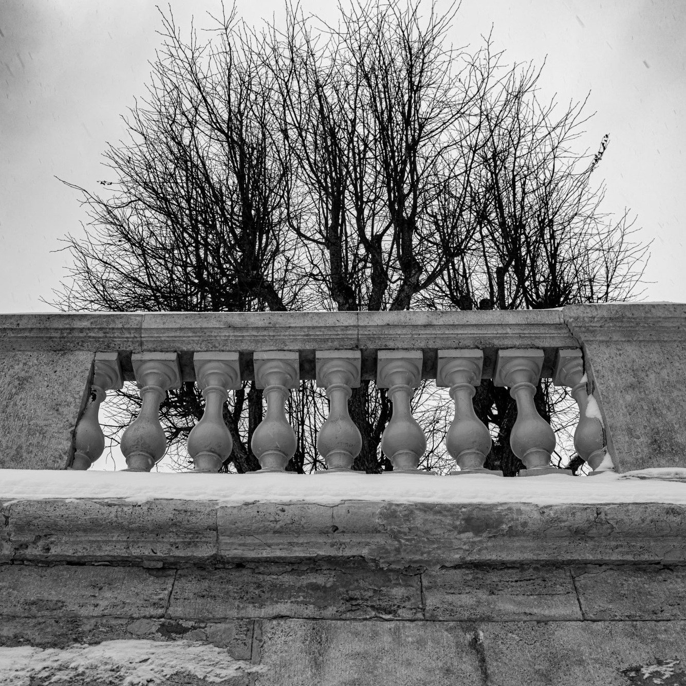 Gatchina. The Great Gatchina Palace. The fence of Your own garden. There are even more view photos in the store.