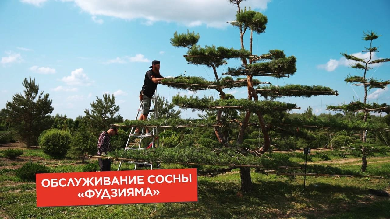 Корпоративное видео заказать в Москве | TOLBATOV PRODUCTION