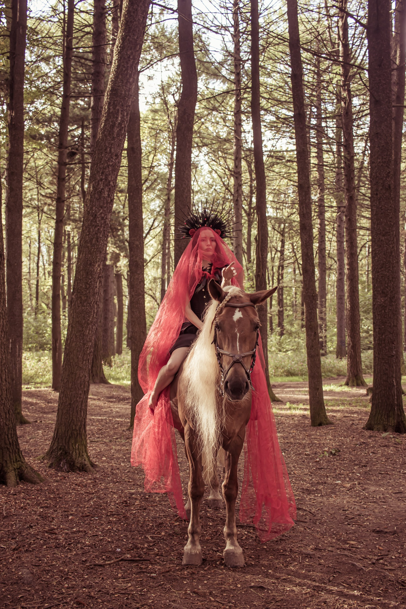 Девушка на лошади в красной накидке, мистическая лесная фотосессия • фотограф Карасёва Елена