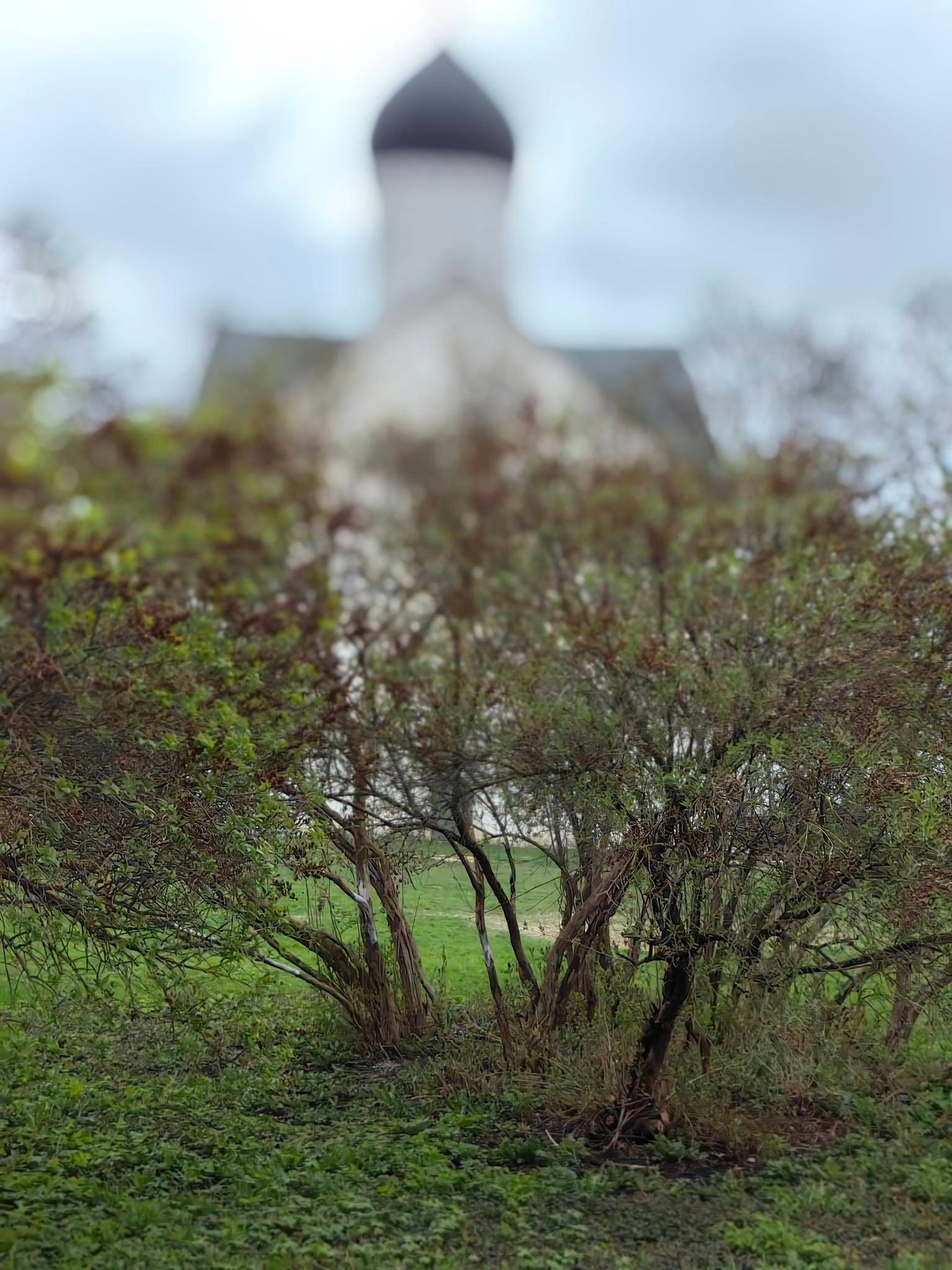 Феофан Грек в Великом Новгороде