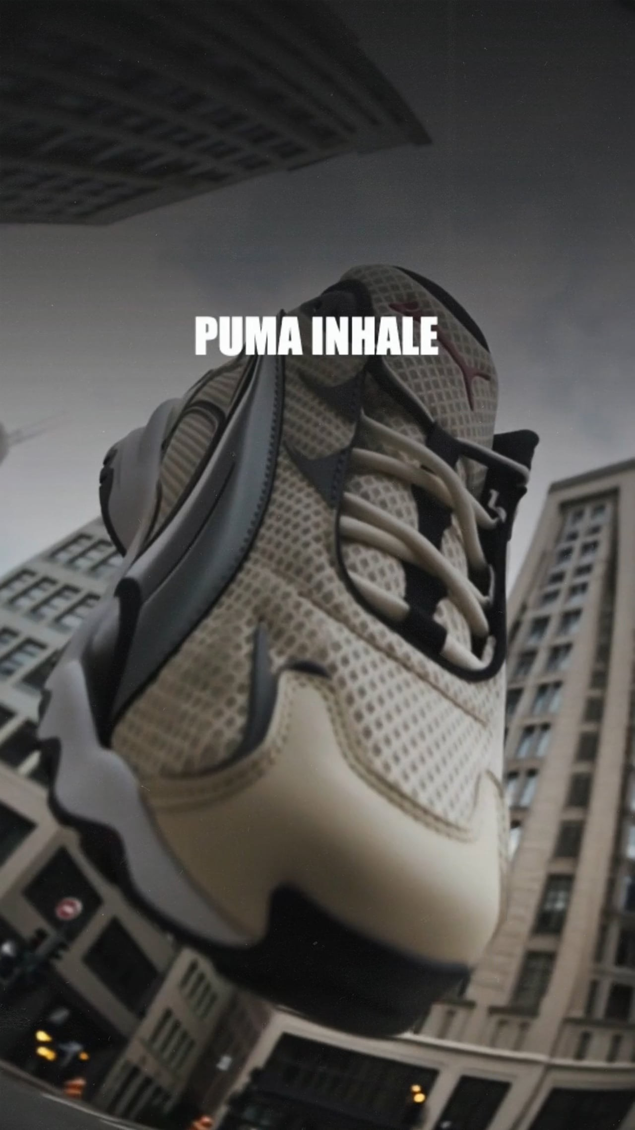 Анимация на заказ | AI 3D 2D | AIMULTISET