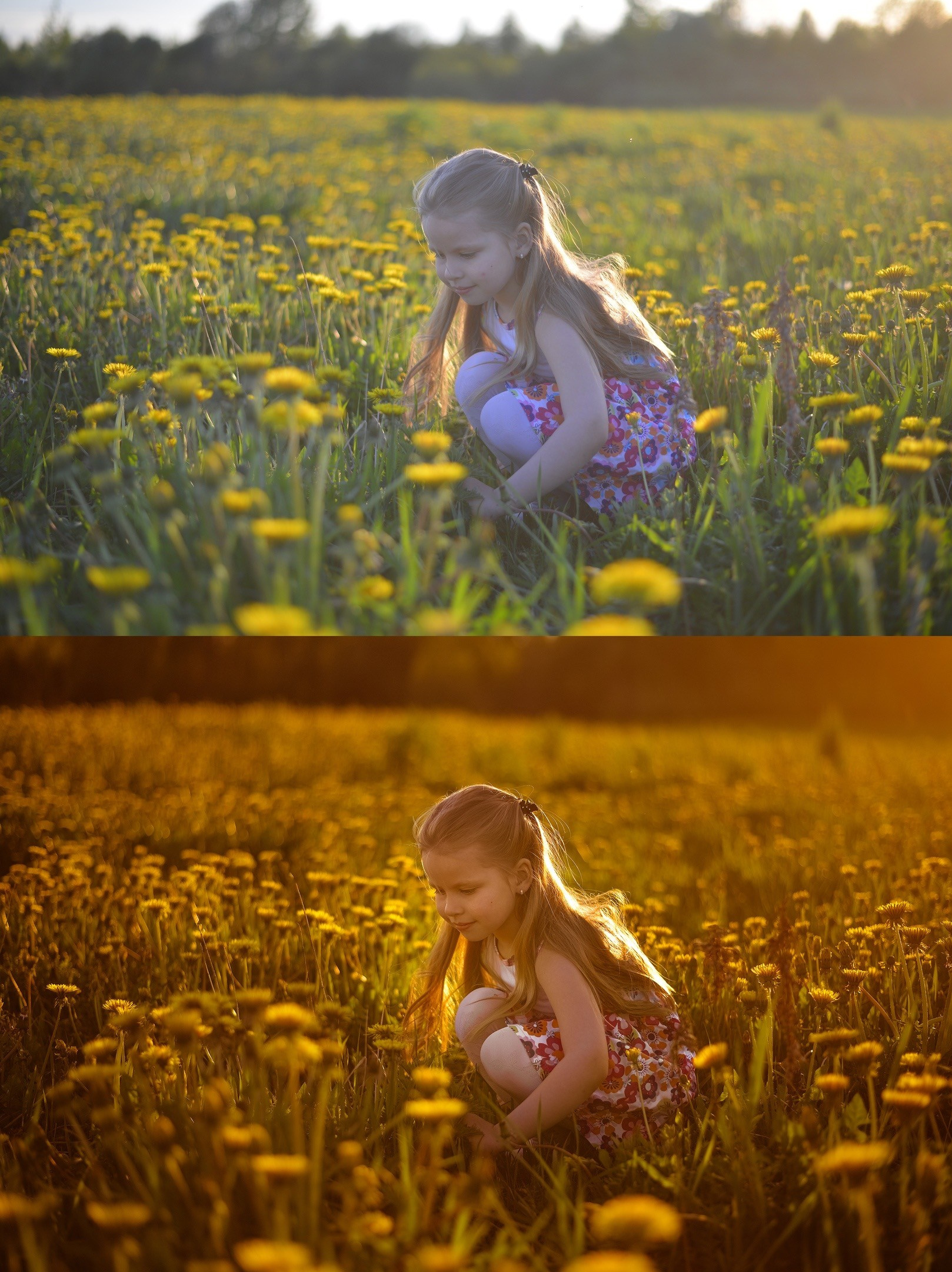 БЫСТРАЯ ЦВЕТОКОРРЕКЦИЯ