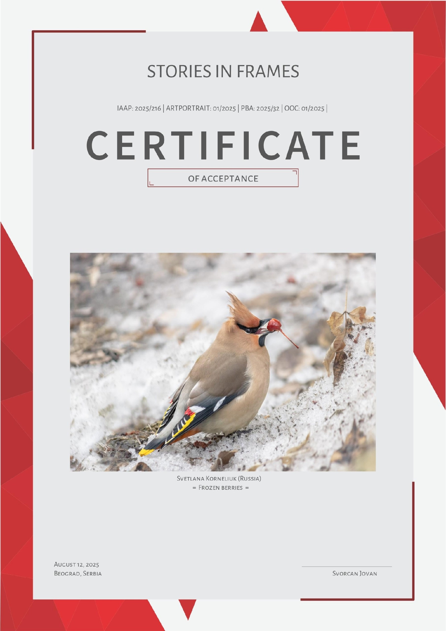 International Contest Awards Photographer Svetlana Korneliuk