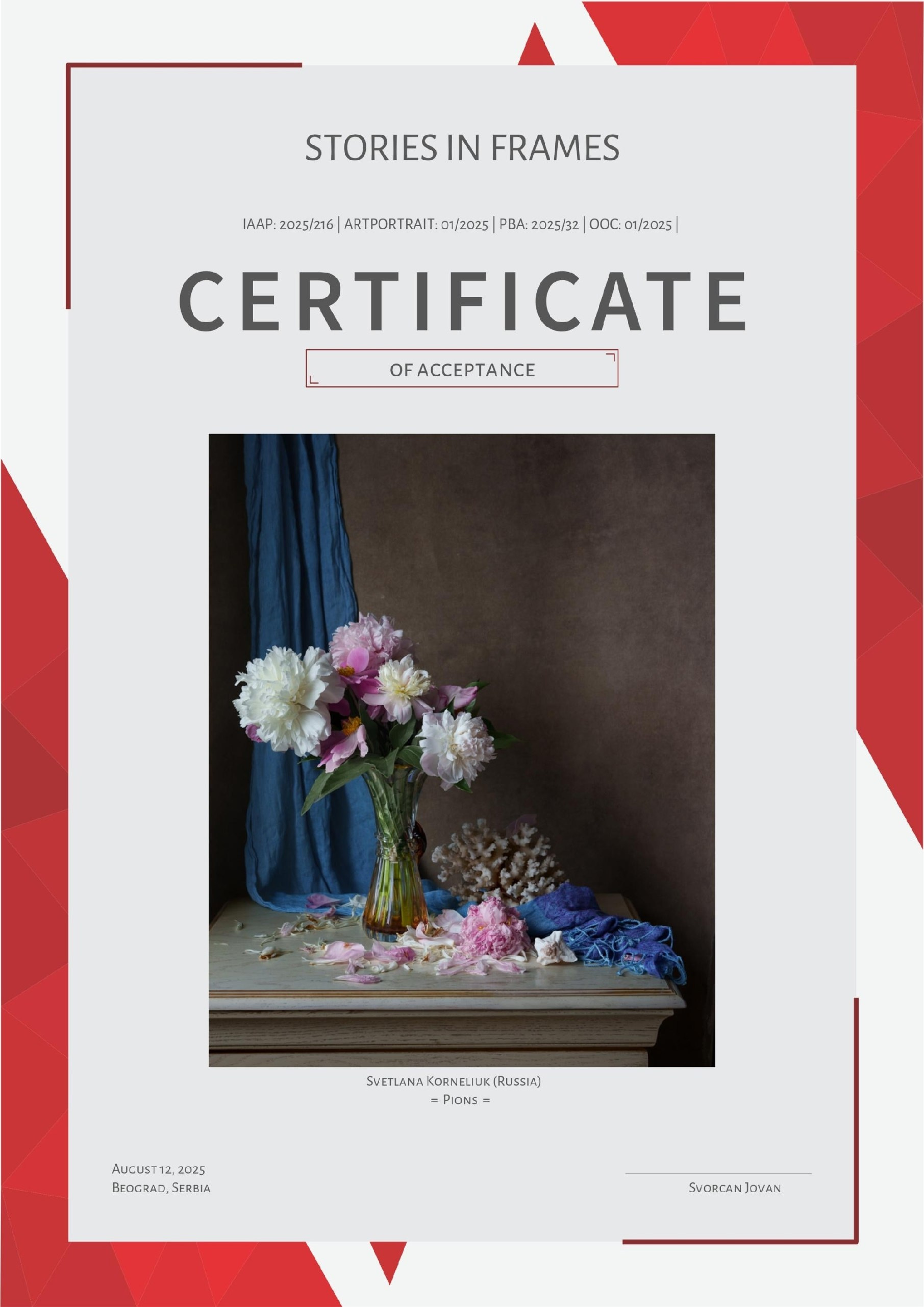 International Contest Awards Photographer Svetlana Korneliuk