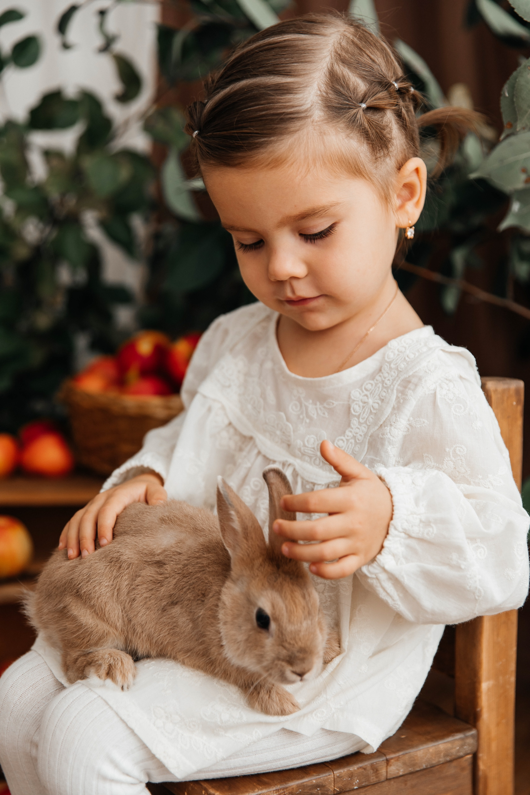 Осенний фотопроект с кроликом🐇. First-foto.ru