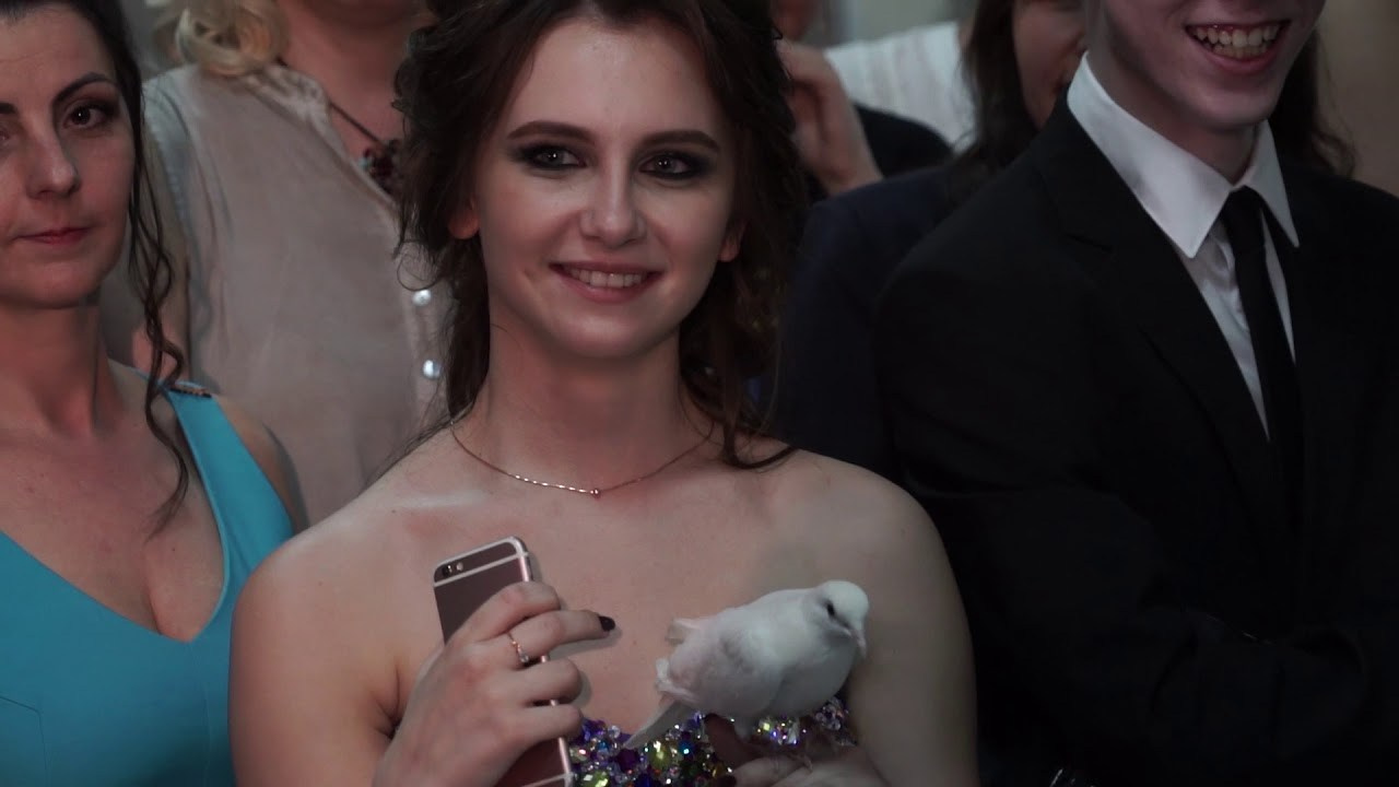 Оператор на выпускной в детский сад и школу. Видеооператор в Москве Шахгельдиев Руслан