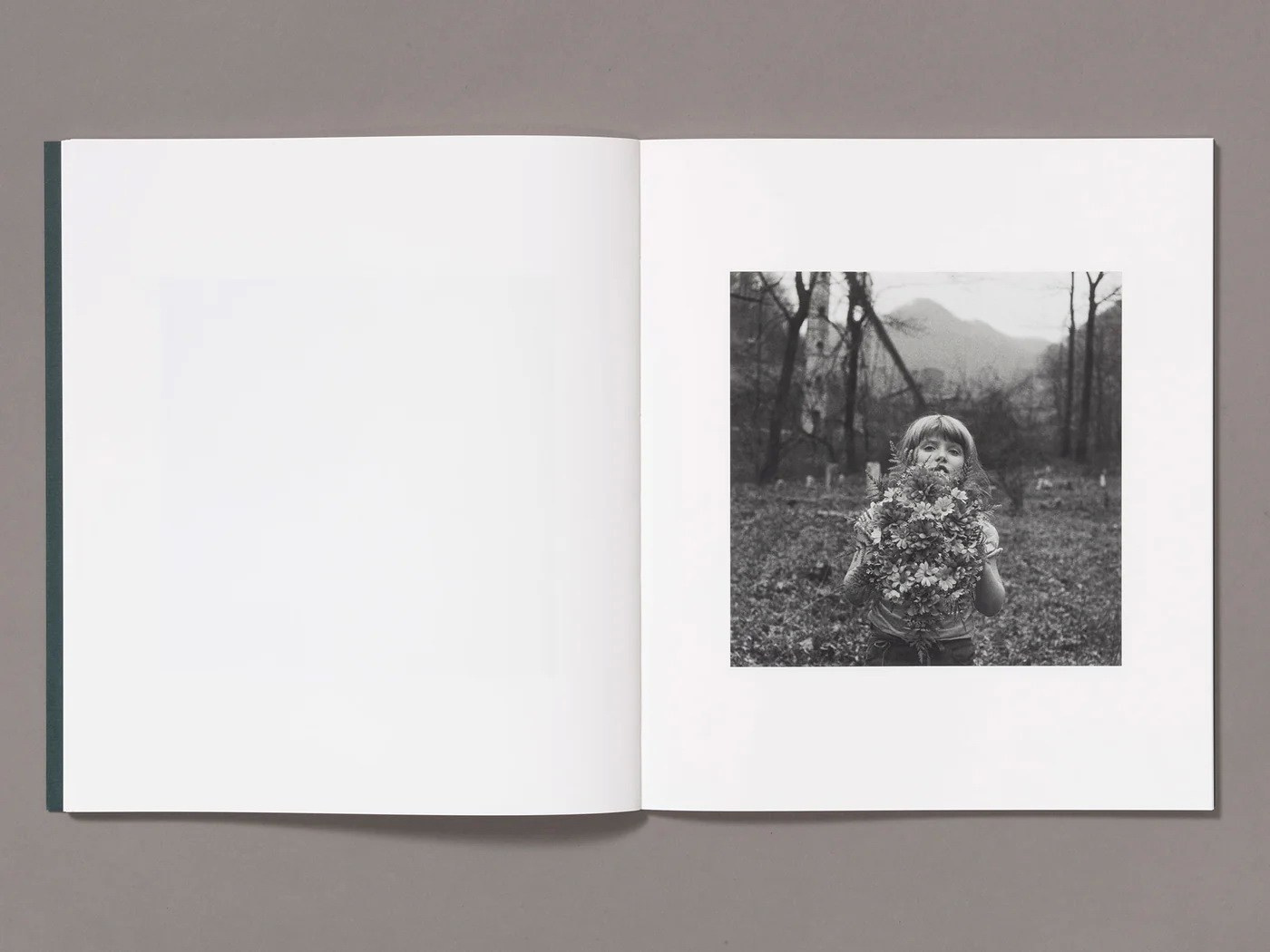 Книга «You Will Look To The Mountains» Энн Ририк (Anne Rearick). Private image