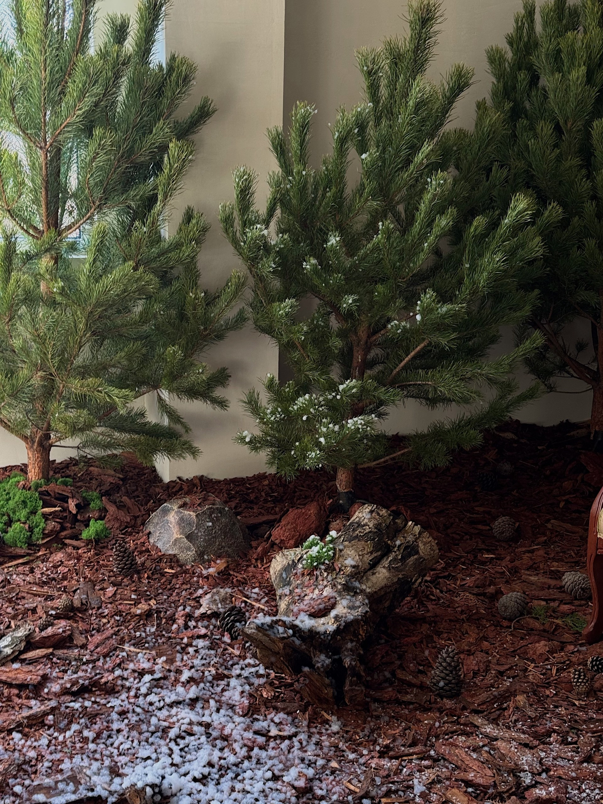 Лучшие Фотостудии Симферополя - топ-мета для сьемки в 2025. Профессиональная фотосъемка в Крыму. Натуральные эмоции и живые кадры. Забронируйте дату прямо сейчас!