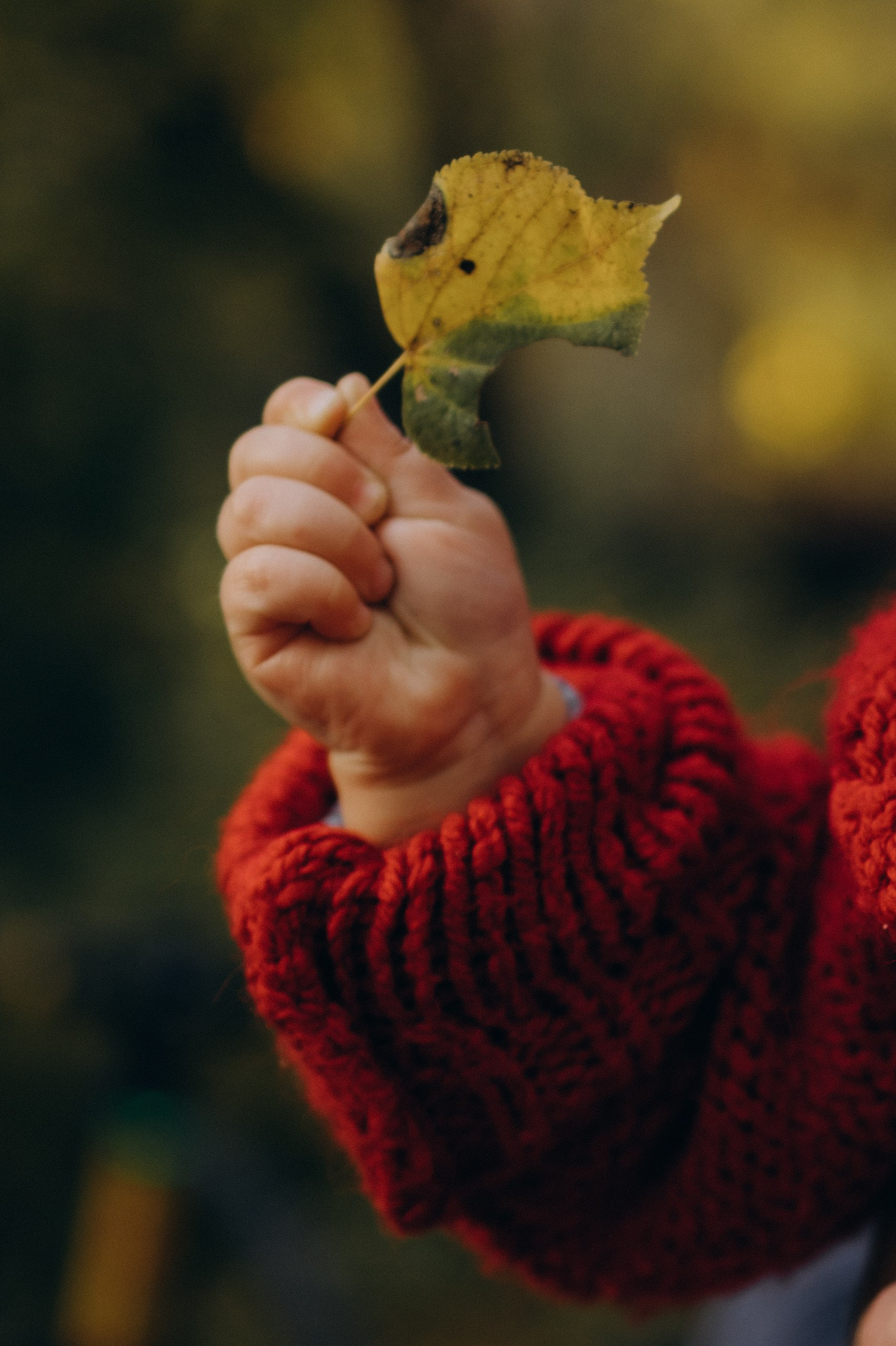 Осенняя семейная фотосессия в Москве. Семейный фотограф в Москве и Люберцах Юлия Гуськова
