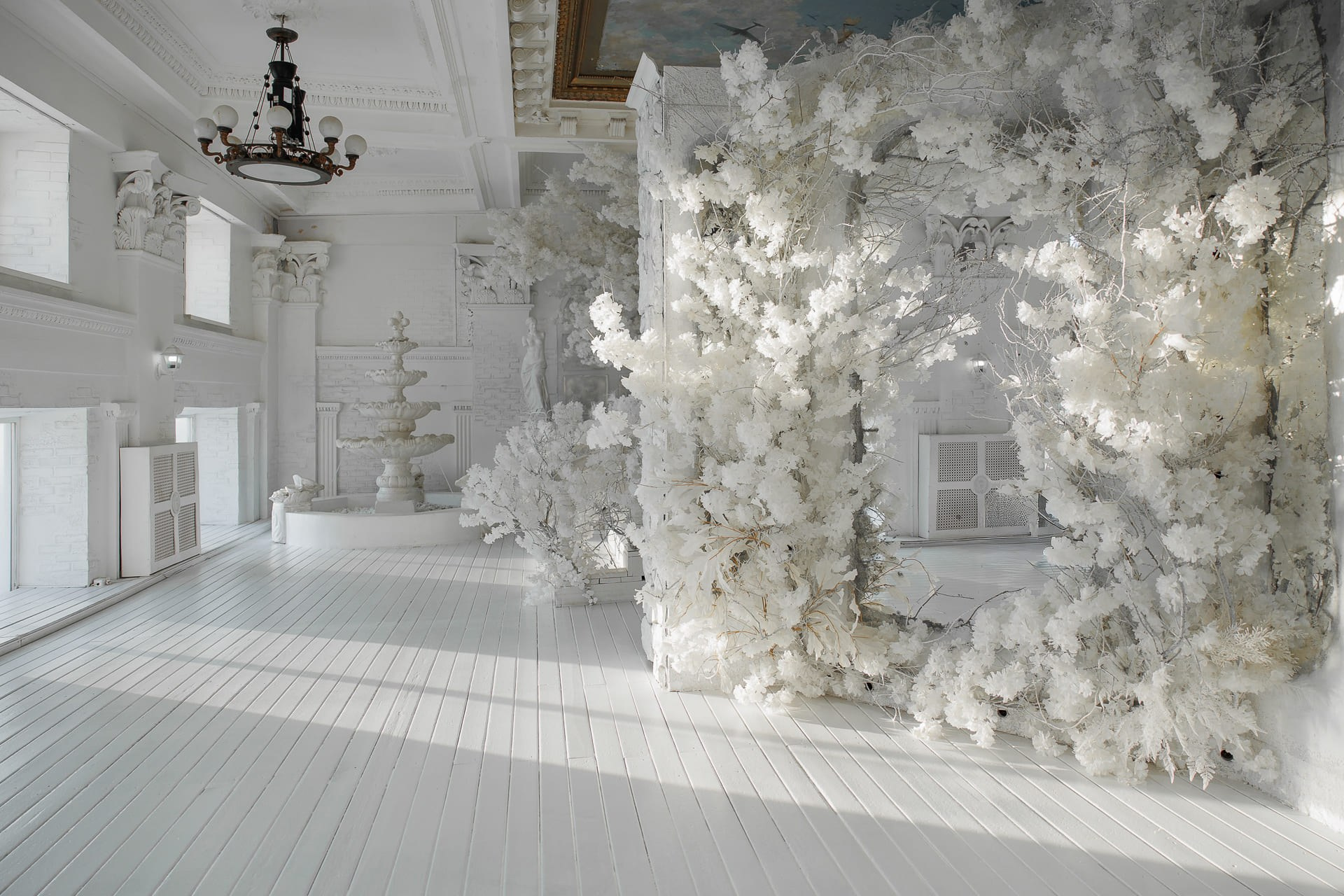 Фотодень «Душа Балета» в Нижнем Новгороде. Балетный фотограф Алина Ханько — Душа Балета