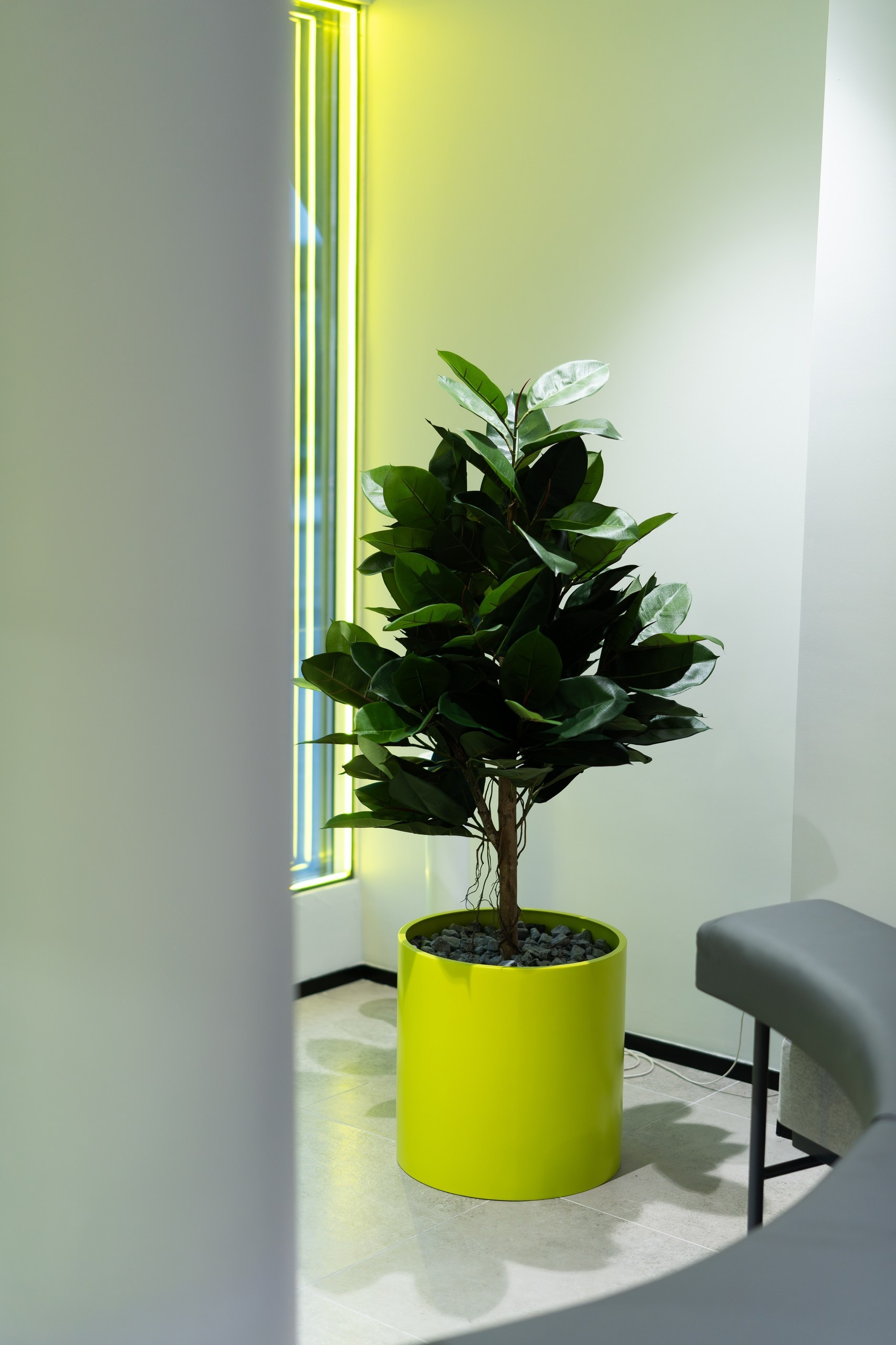 Открытие нового офиса ОТП Банка в Уфе — интерьер, сотрудники, ленточка