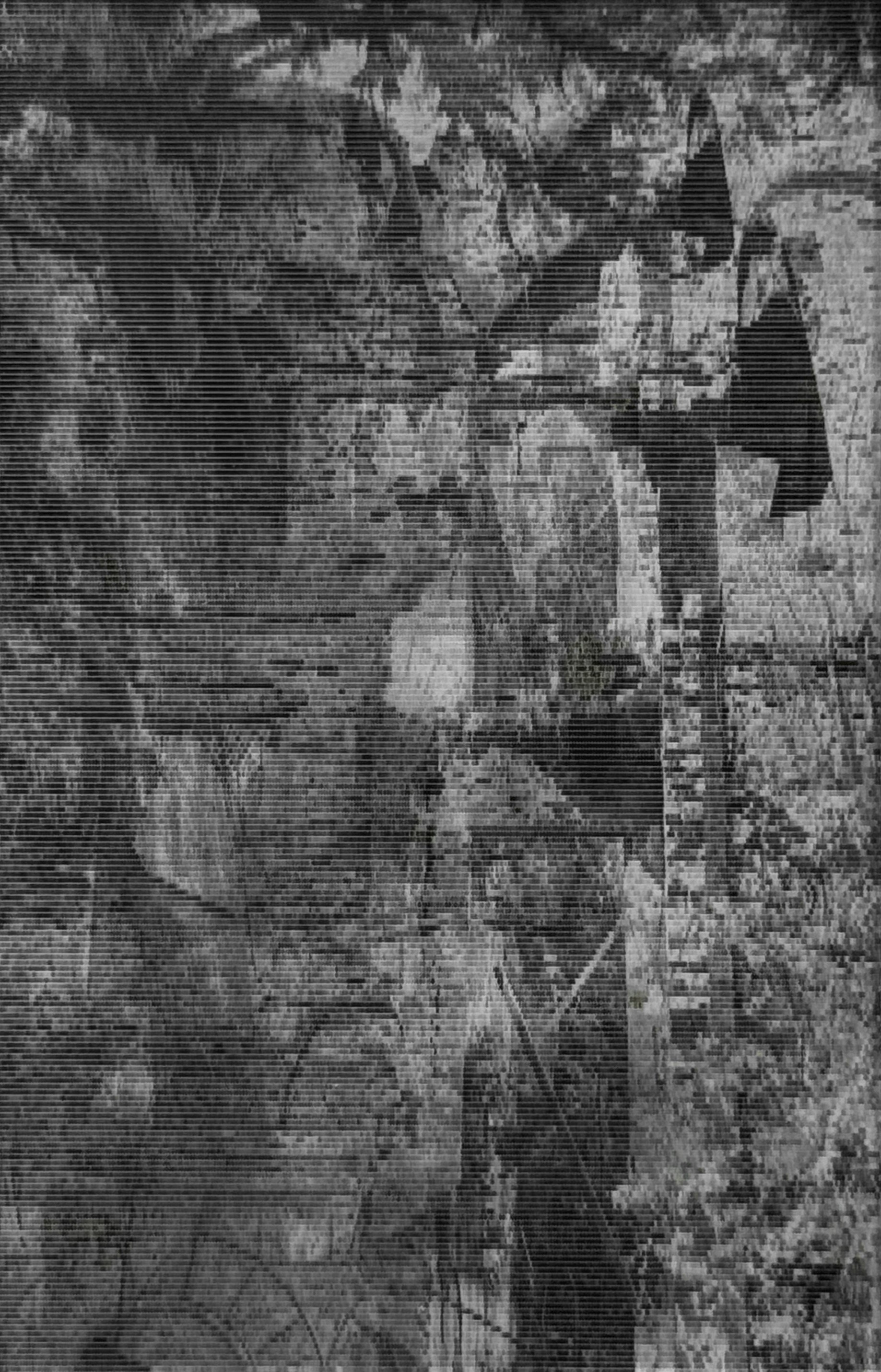 Place on the map (ongoing). Anastasia Maryasova