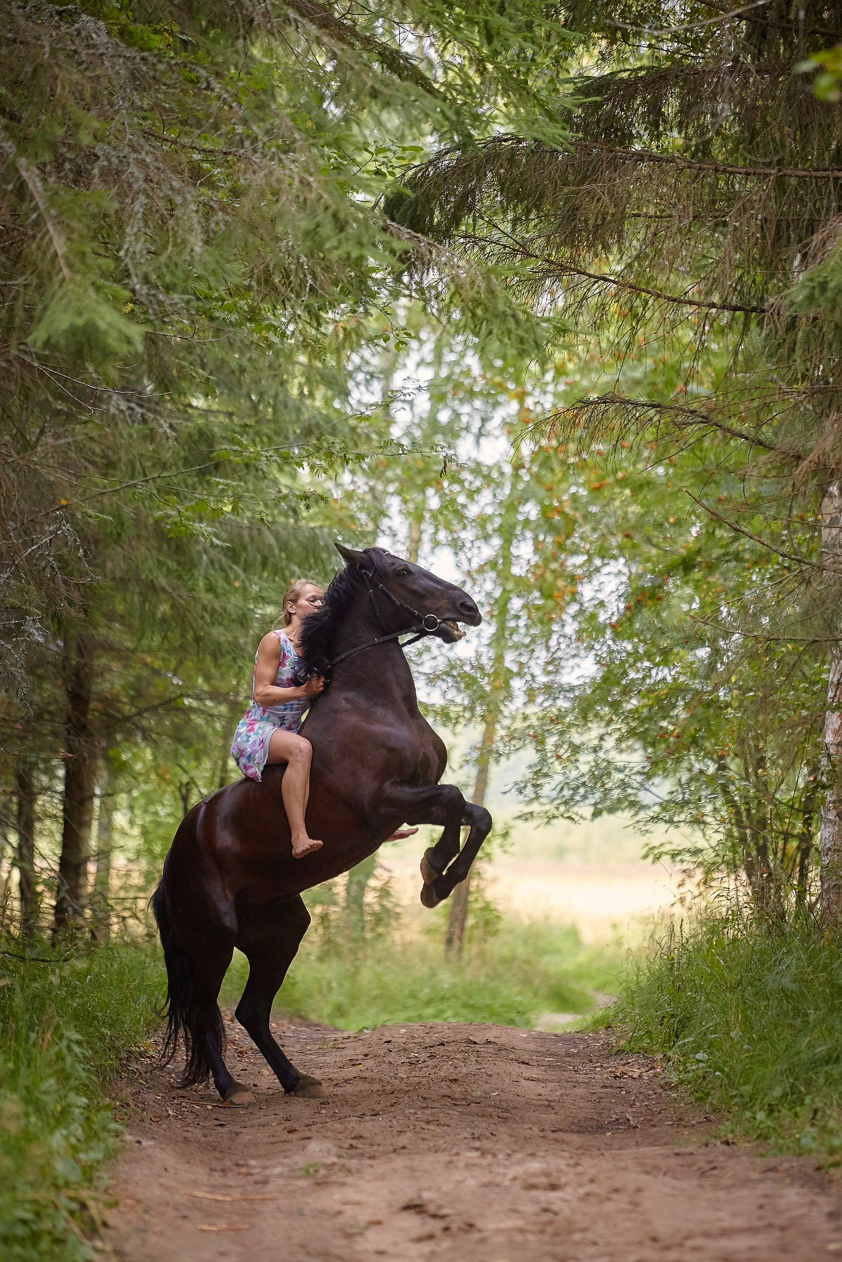 Фотосессия с лошадьми Фотограф Михаил Семенов, г. Ярославль