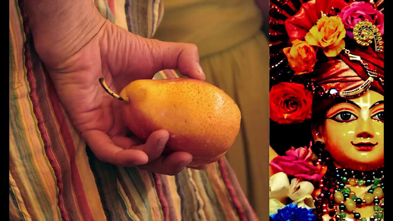 Школа фотографии Ph-school, Ph-школа, Ф-школа,   в Ростове-на-Дону, пр. Максим Матвийченко и Виктория Басова профессионалы своего дела