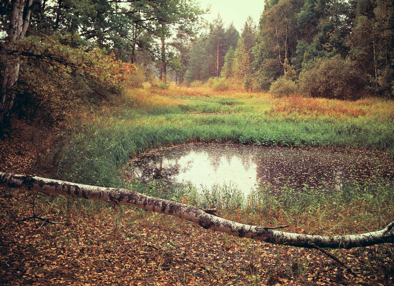 Коллекционные альбомы. ВАДИМ ГИППЕНРЕЙТЕР — ВЕЛИКИЙ ФОТОГРАФ ЗЕМЛИ РУССКОЙ