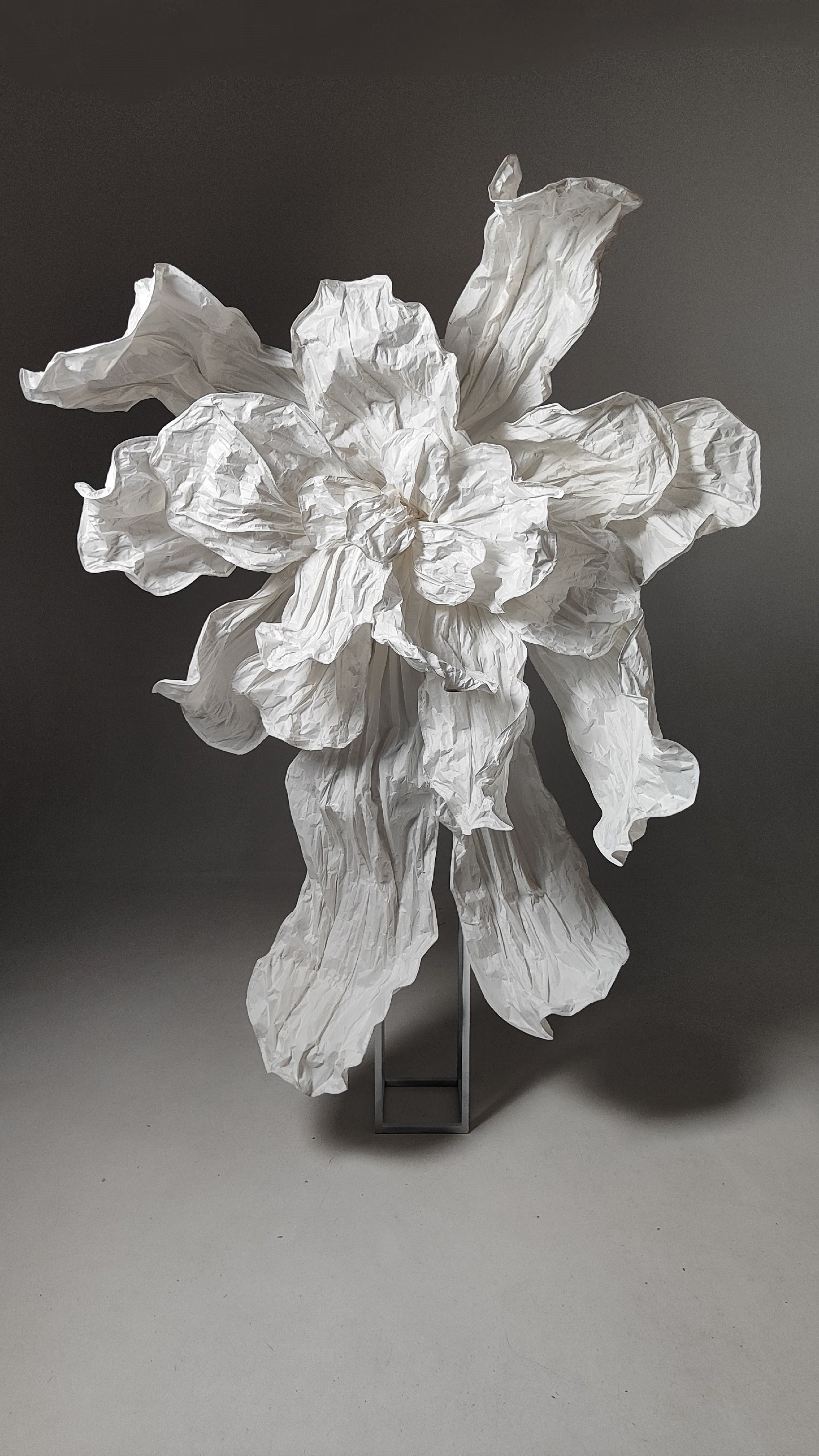 LOFT 2.0 (Зал «Циклорама»). Семейный и свадебный фотограф в Воронеже Майя Добровольская