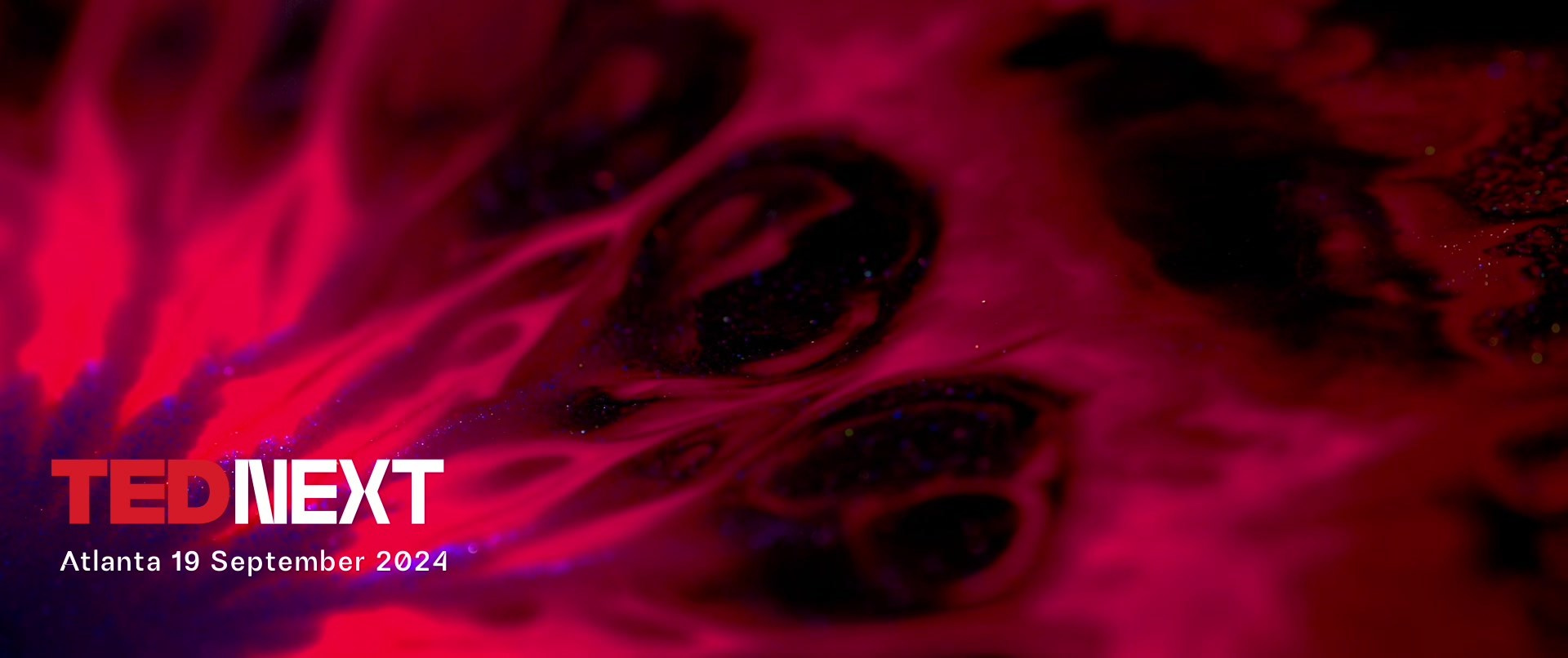 Macro films of Vadim Sherbakov. Short films by Vadim Sherbakov