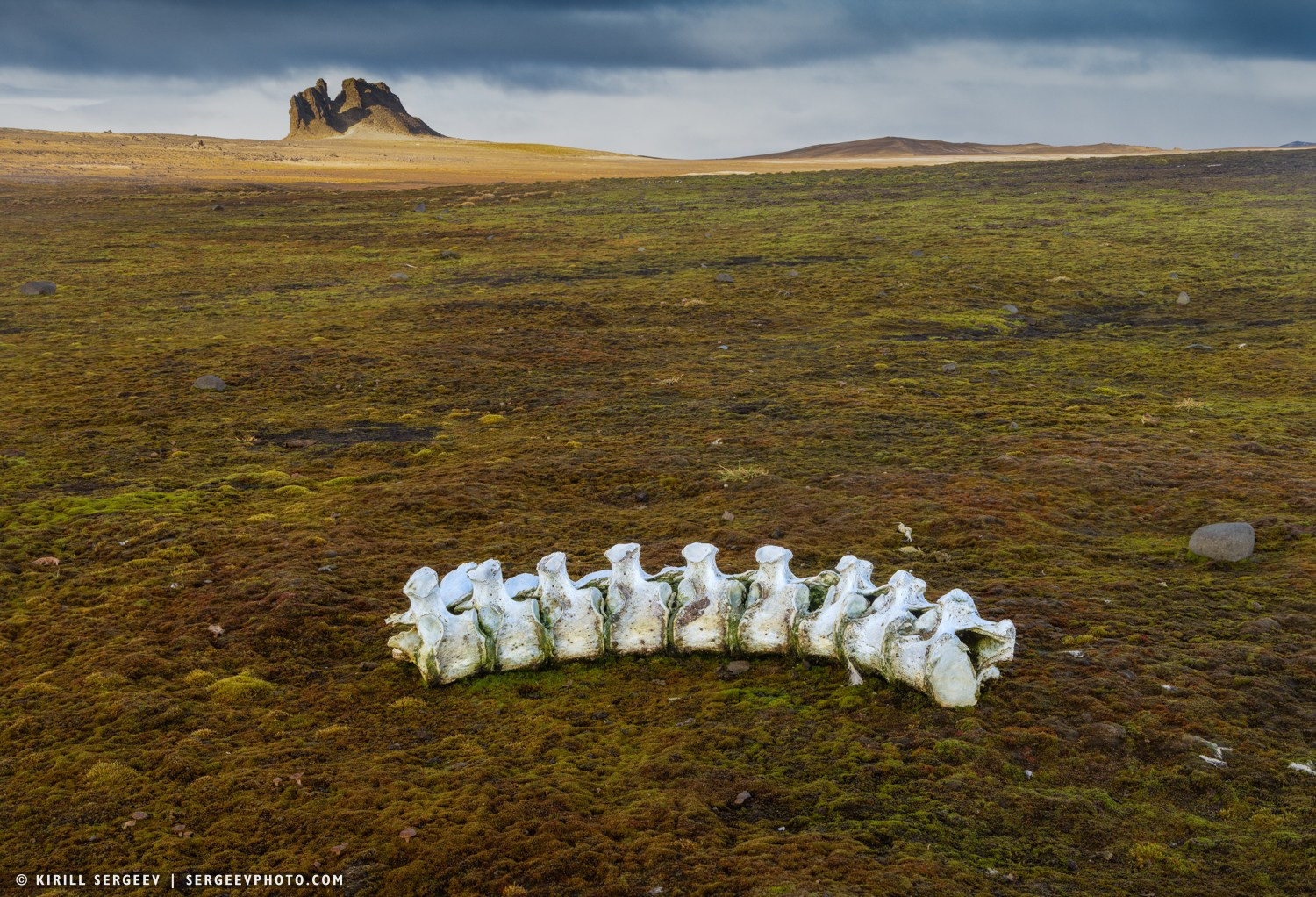 Арктическая одиссея. Фотограф Кирилл Сергеев | Москва