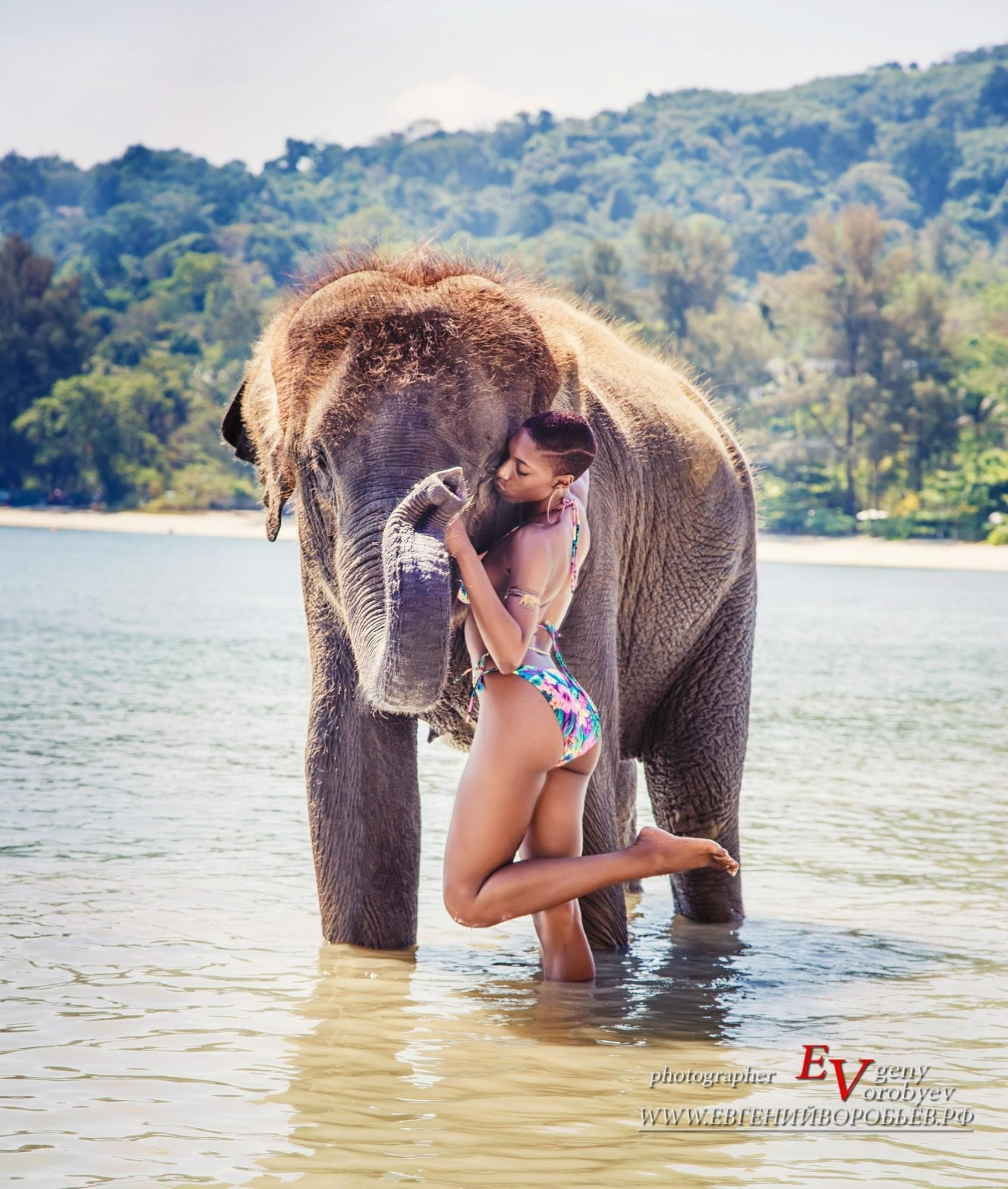 фотосессия купание со слоном на Пхукете фотограф слон в тайланде на пляже закат красивое место идея образ девушка в купальнике примеры фото позы для фотосессии Патонг пляж Карон Найхарн Ката Майкао пальма экскурсия Заказать фотосессию цена стоимость