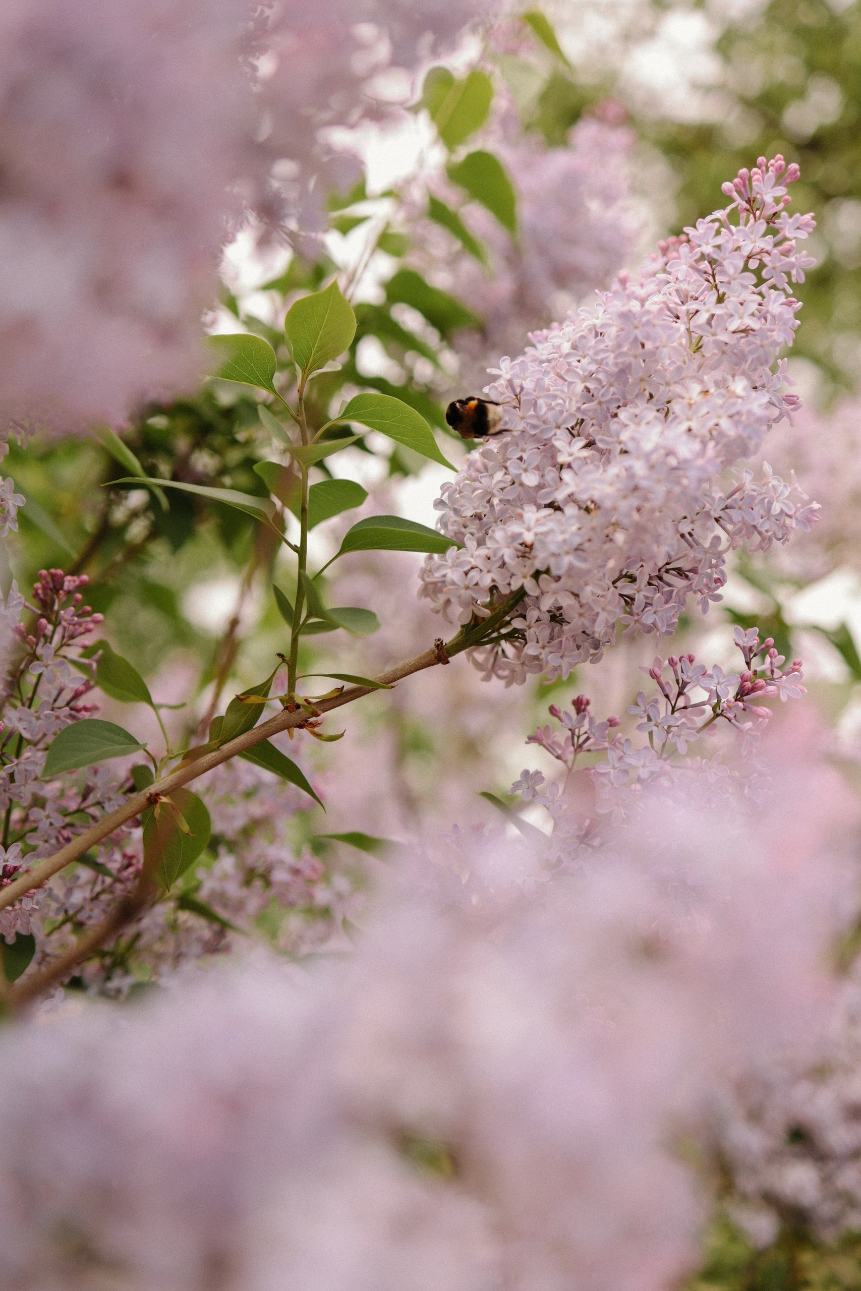 Фотопрогулки по Нижнему Новгороду. Фотограф и видеограф Елена Лисина