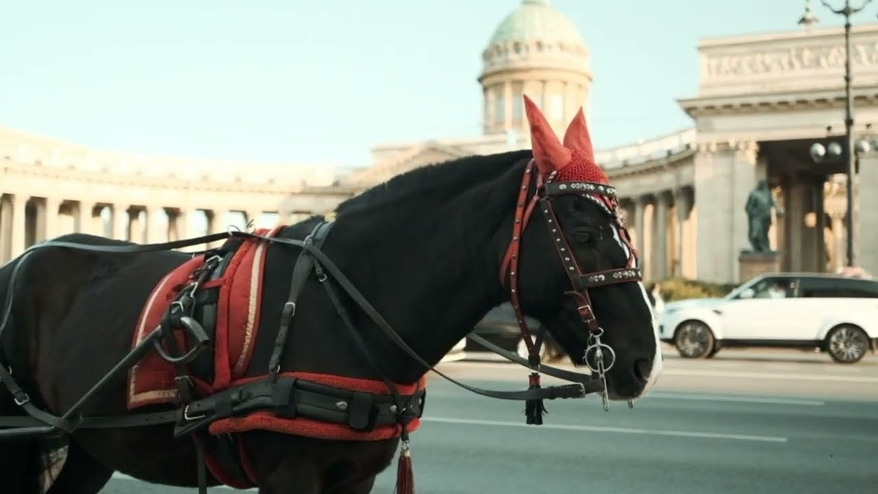 Курс «Увидимся на улице» 2.0