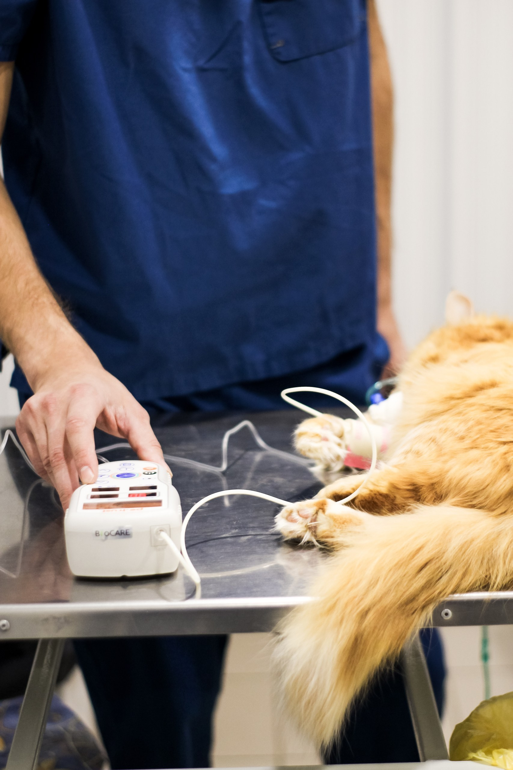 Контент съемка и предметная съемка для продвижения услуг бизнеса. Студия контента «СВОЕ МЕСТО»