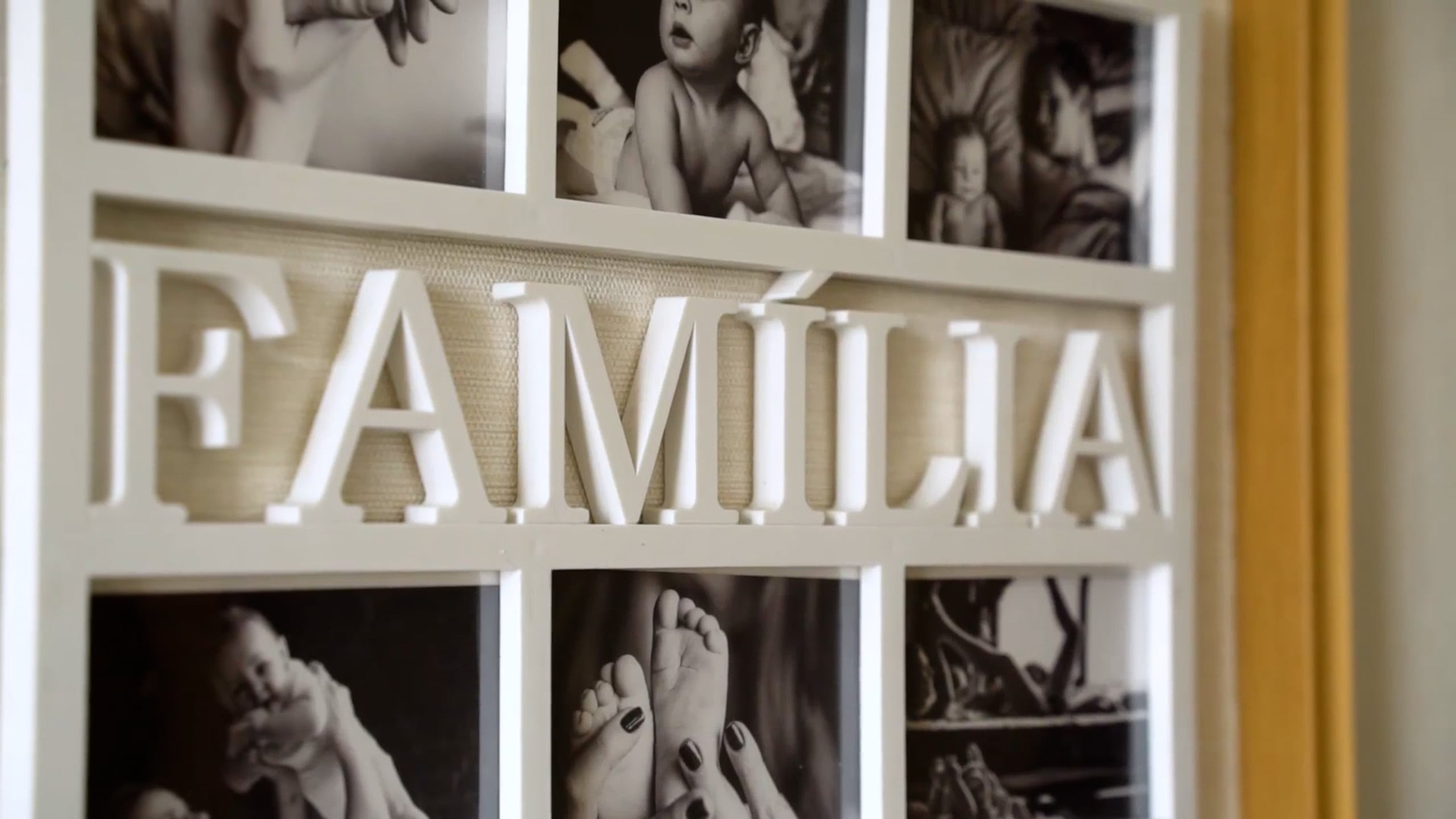 Family. Видеограф Никита Белов