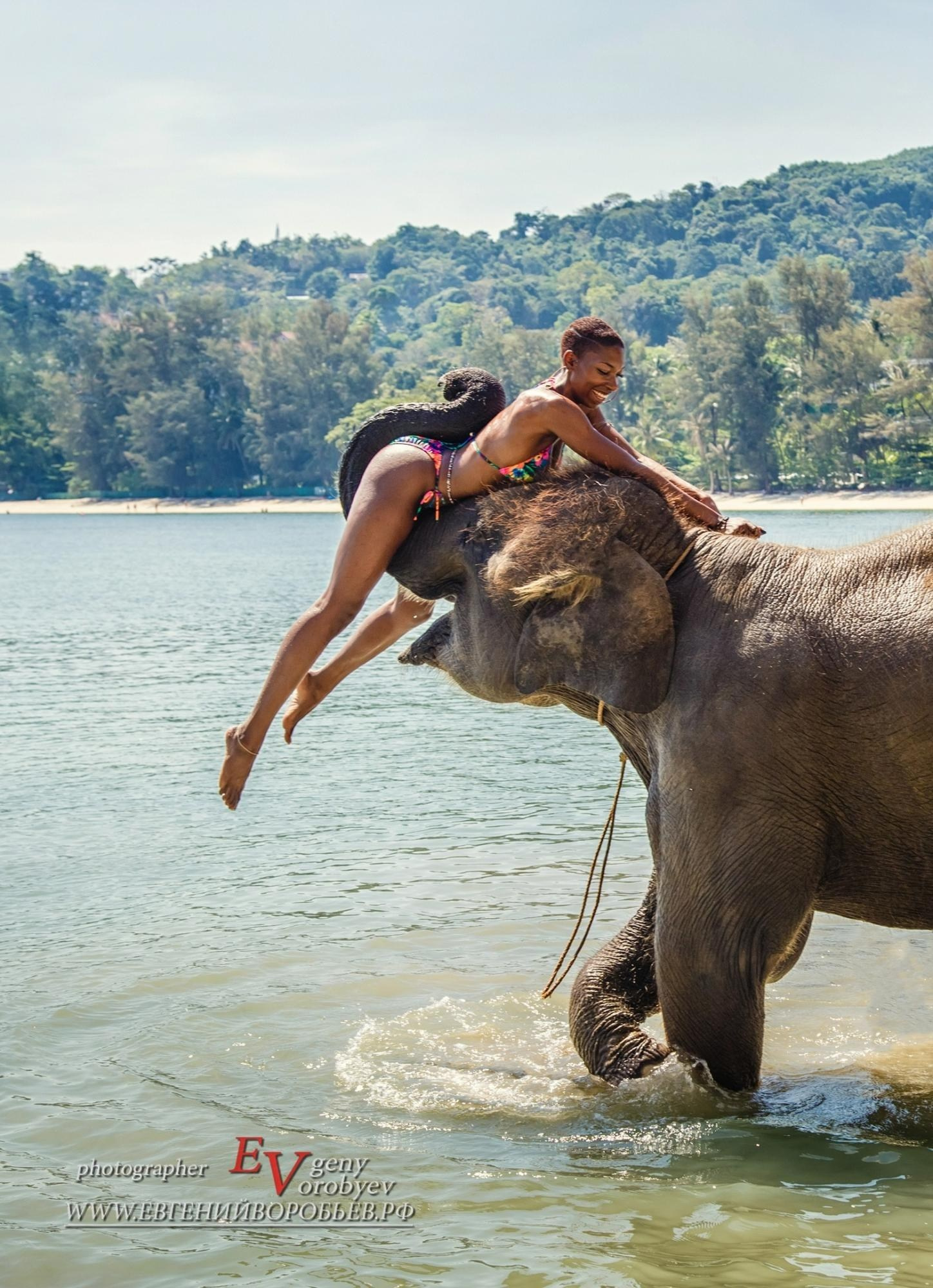 фотосессия купание со слонами на пляже Пхукета цена стоимость заказать фотограф Phuket море слон слонёнок тайланд пляж ката карон патонг майкао камала сурин семейная фотосессия