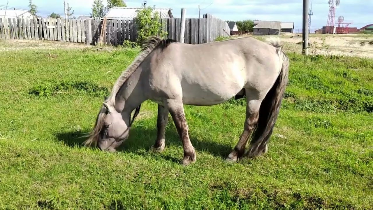 Терский берег. Детский и семейный фотограф в Мурманске Надежда Веденеева