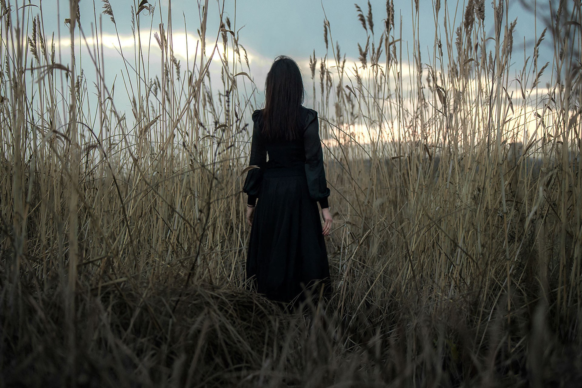 SALE OF DIGITAL FINE ART FILES BY ARTIST MIKHAIL POTAPOV