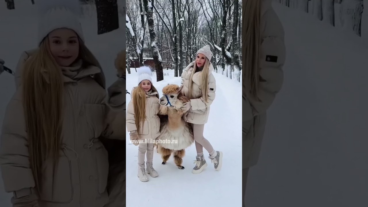 Рилс. Фото и видео Москва. Свадебный фотограф, видеограф, фотосессии, видеосъемка