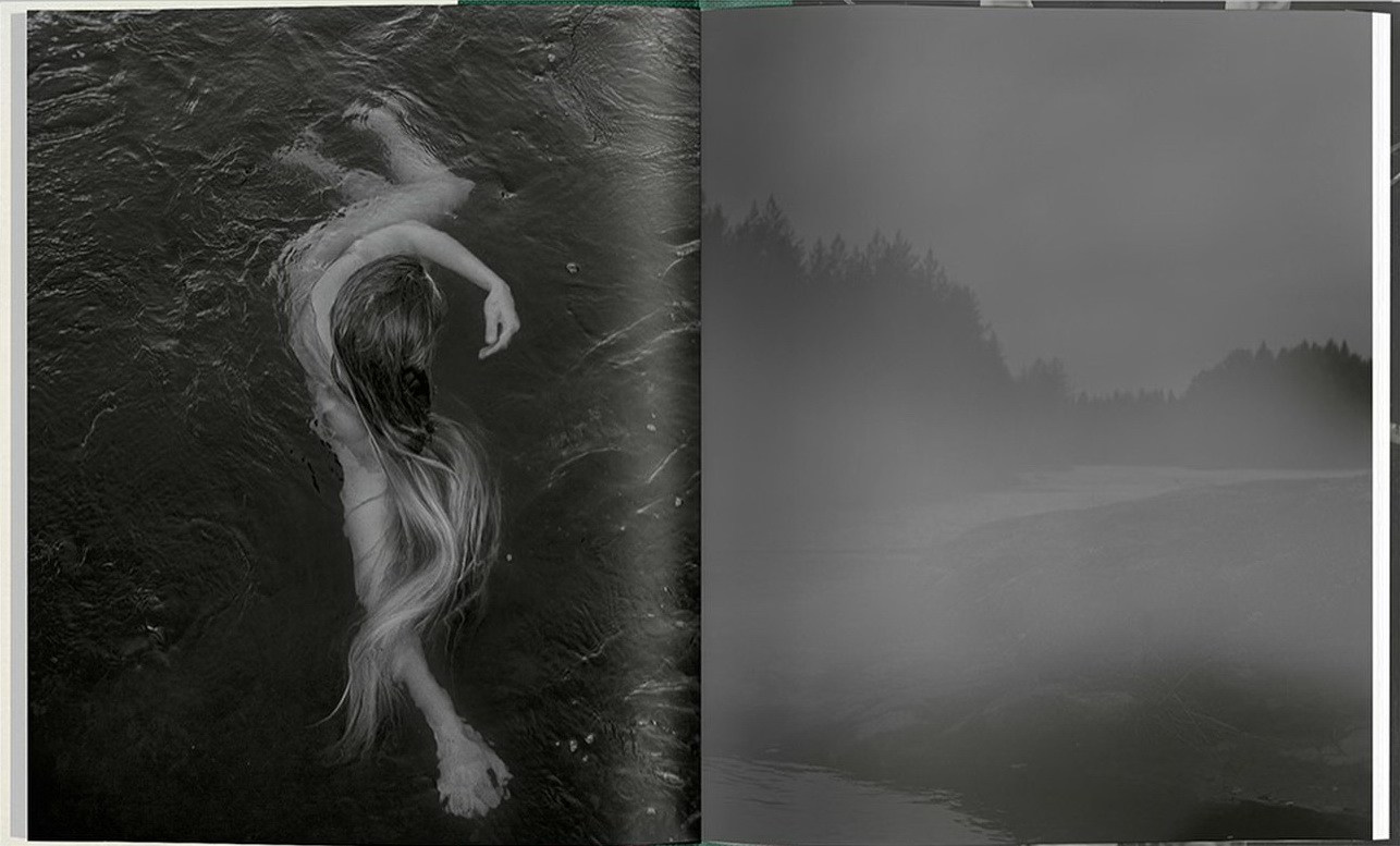 Книга «Gertrud» Мэй Дэниелс (Maja Daniels). Private image