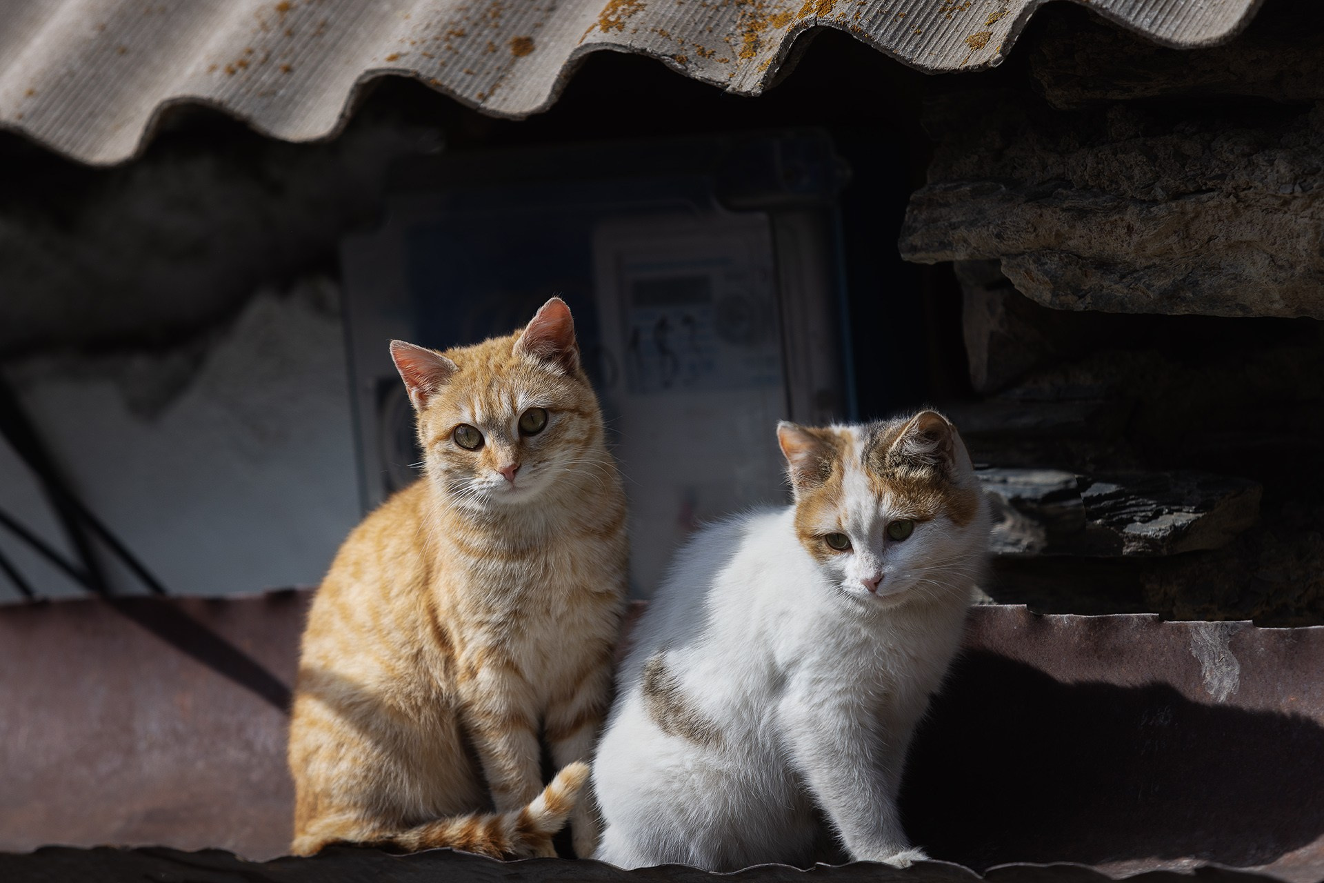 Экспедиция по Цумадинскому району и югу Дагестана 21.03.26 — 29.03.26. Дмитрий Купрацевич профессиональный пейзажный и travel-фотограф