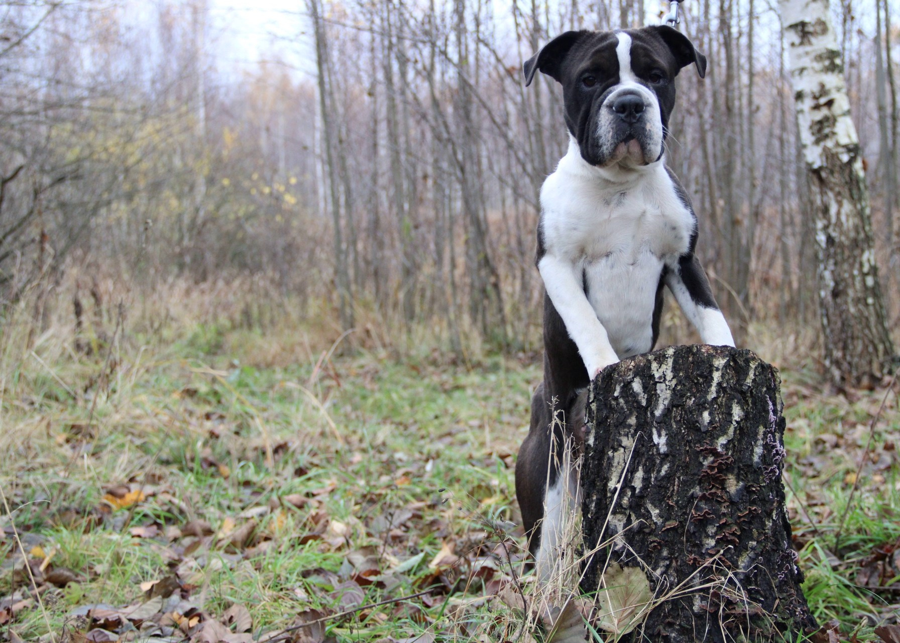 Катя Попова|ЛайфСтайл фотограф