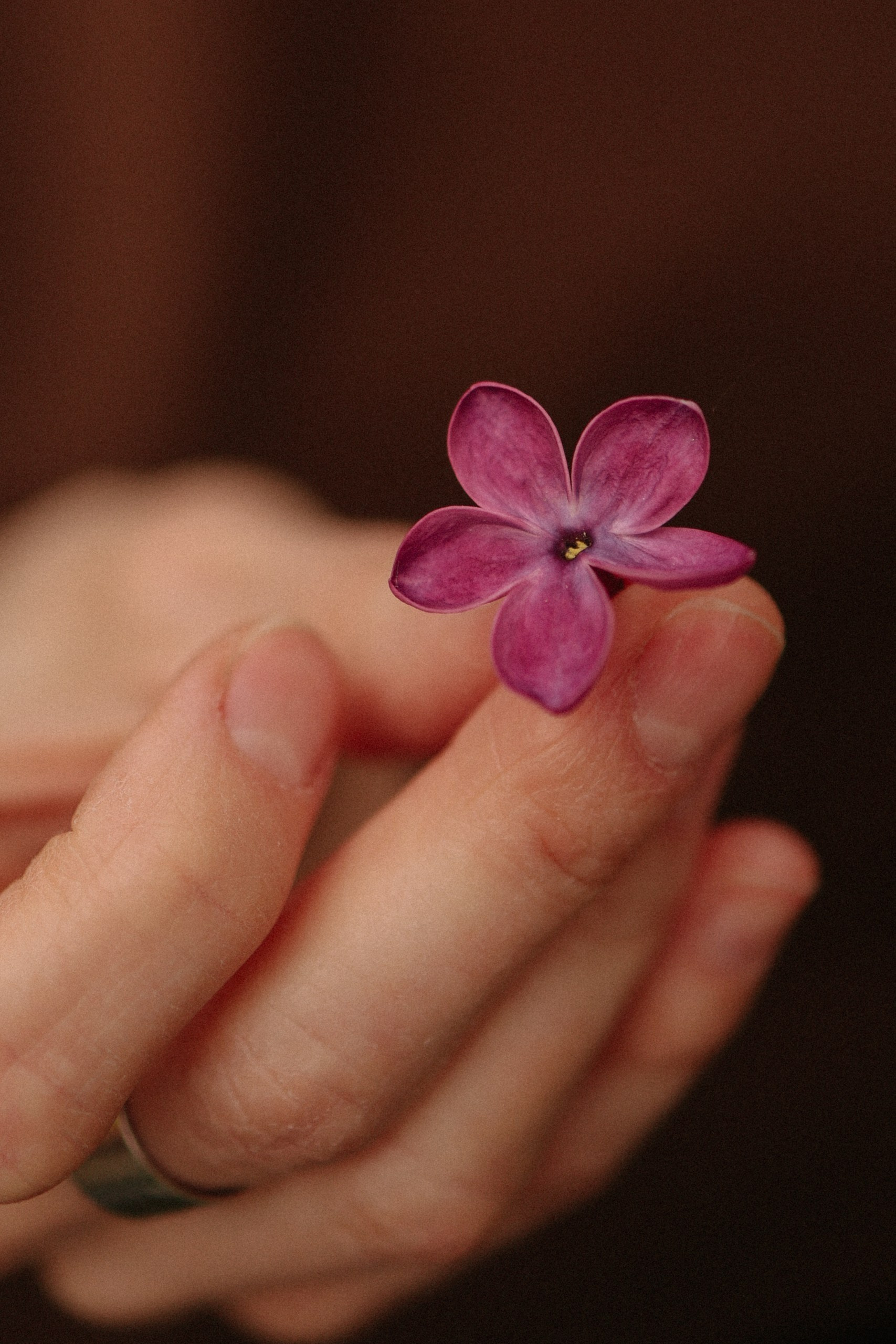 Фотопрогулки по Нижнему Новгороду. Фотограф и видеограф Елена Лисина