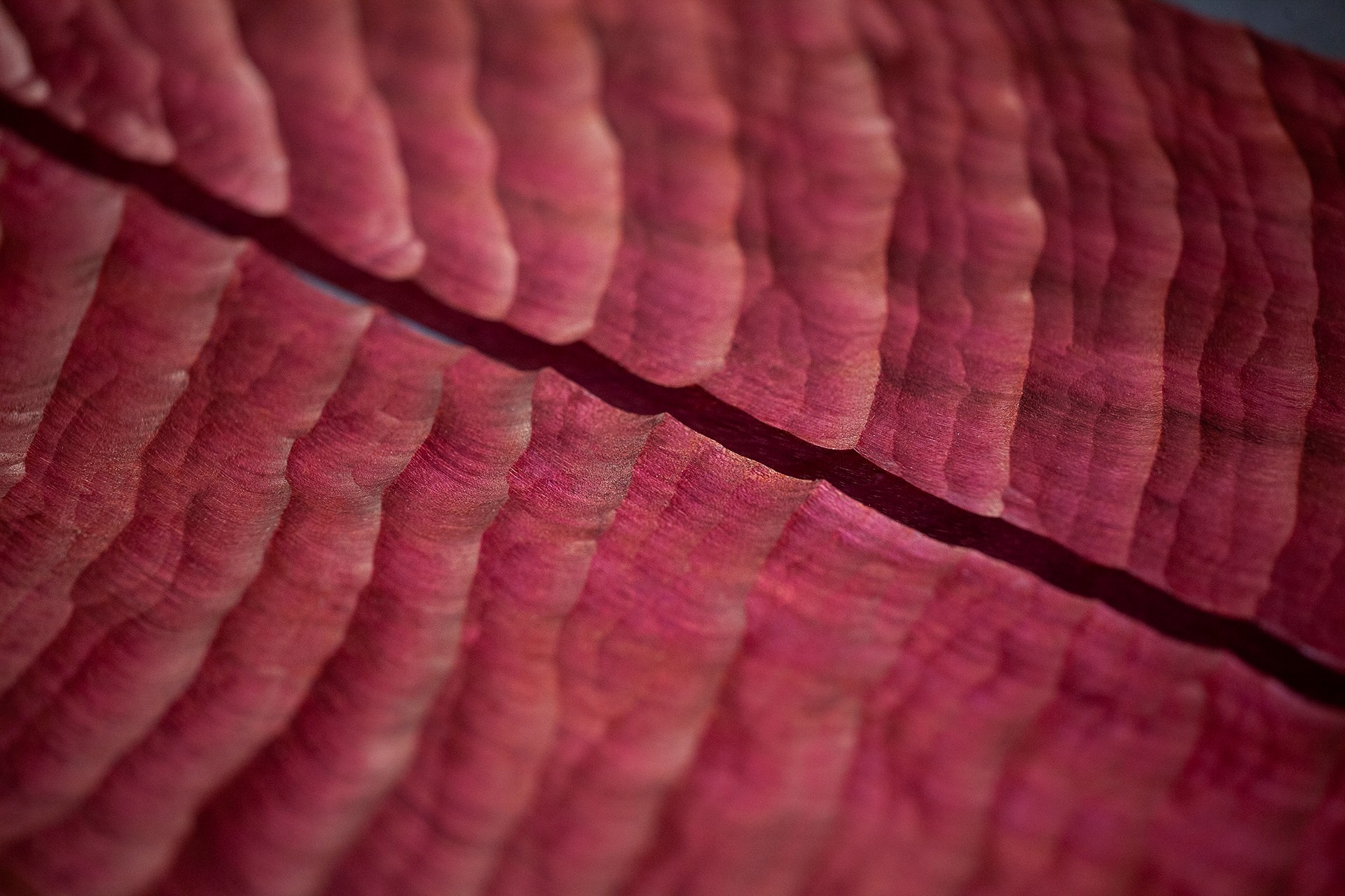 Авторские интерьерные изделия ручной работы. Halaywood.com