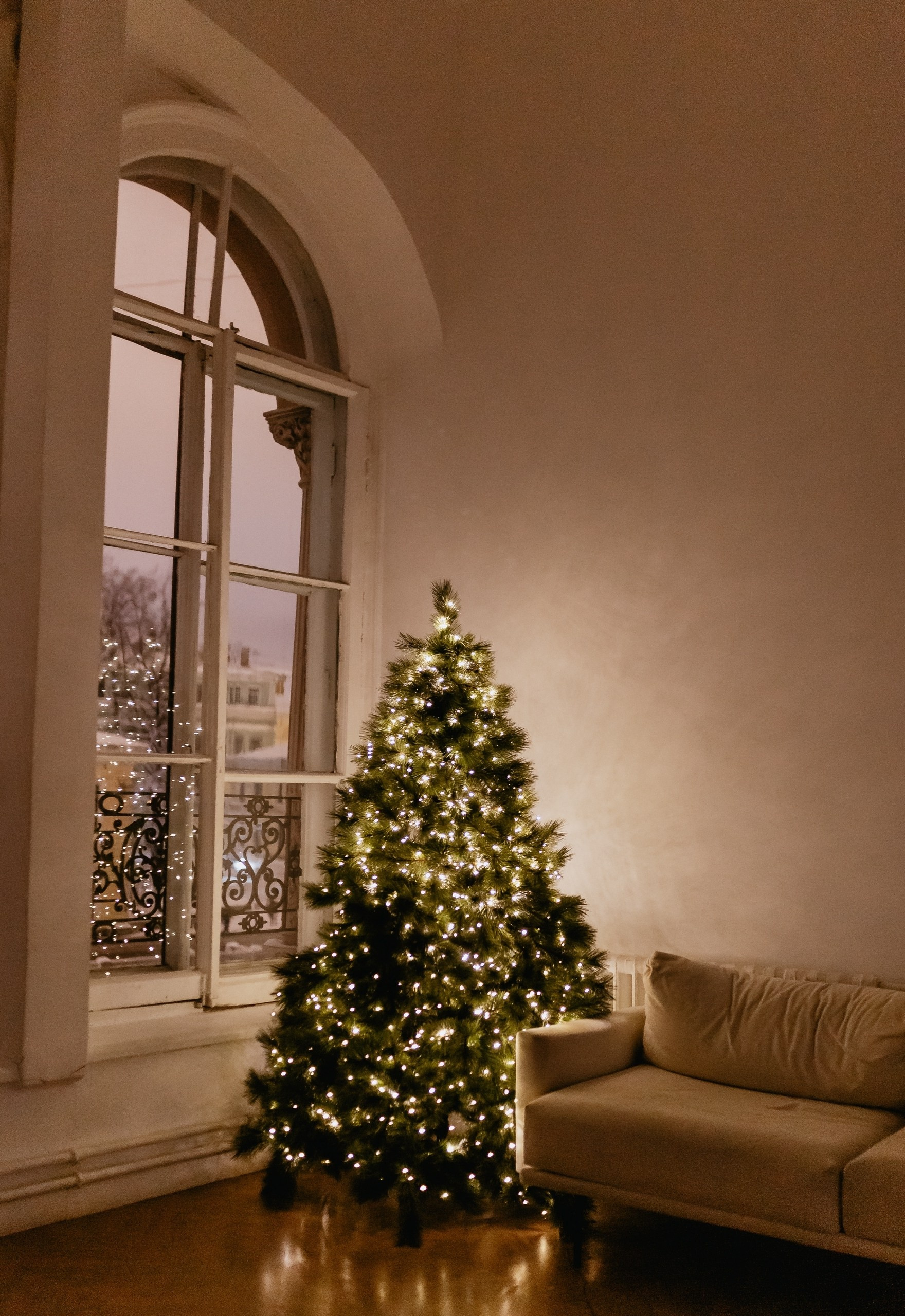 Новогодние фотостудии. Фотограф — Анималист | Санкт-Петербург