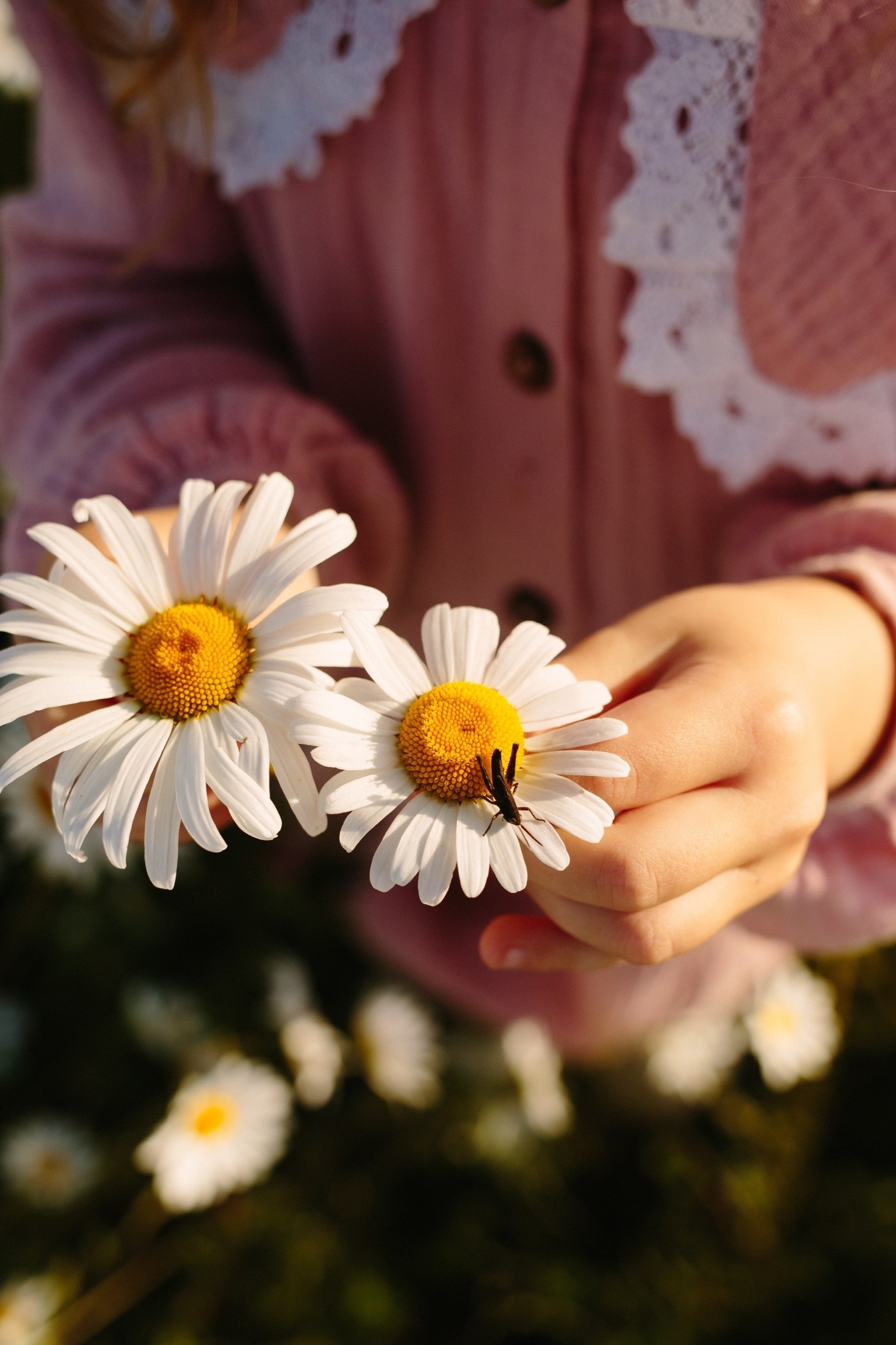Свадебный и семейный фотограф в Смоленске Галина Егорова