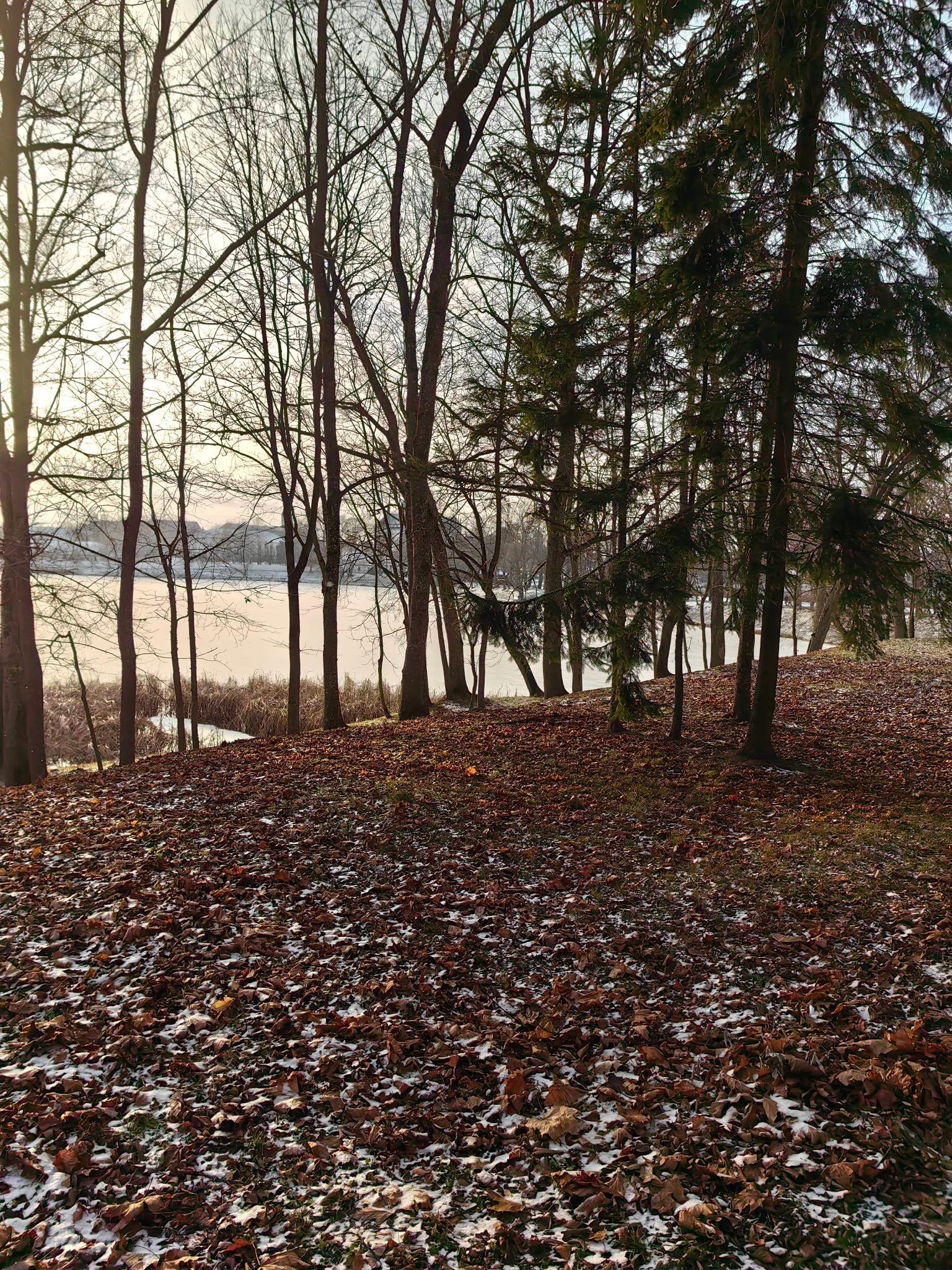 Несвижский замок в Беларуси. Купить картину на холсте для интерьера|художник | дизайнер | архитектор Сергей Ратчин в Москве