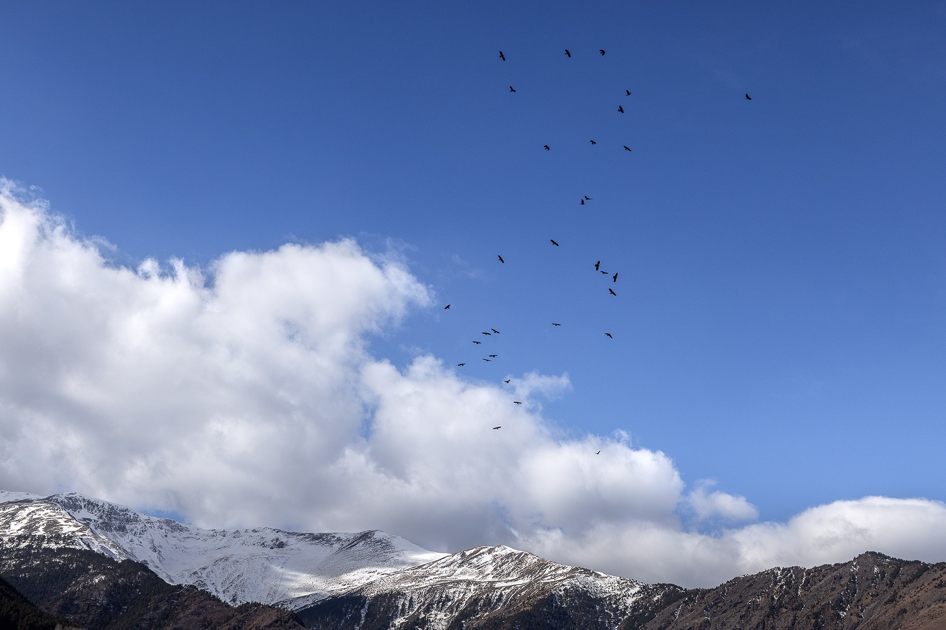 Экспедиция по Цумадинскому району и югу Дагестана 21.03.26 — 29.03.26. Дмитрий Купрацевич профессиональный пейзажный и travel-фотограф
