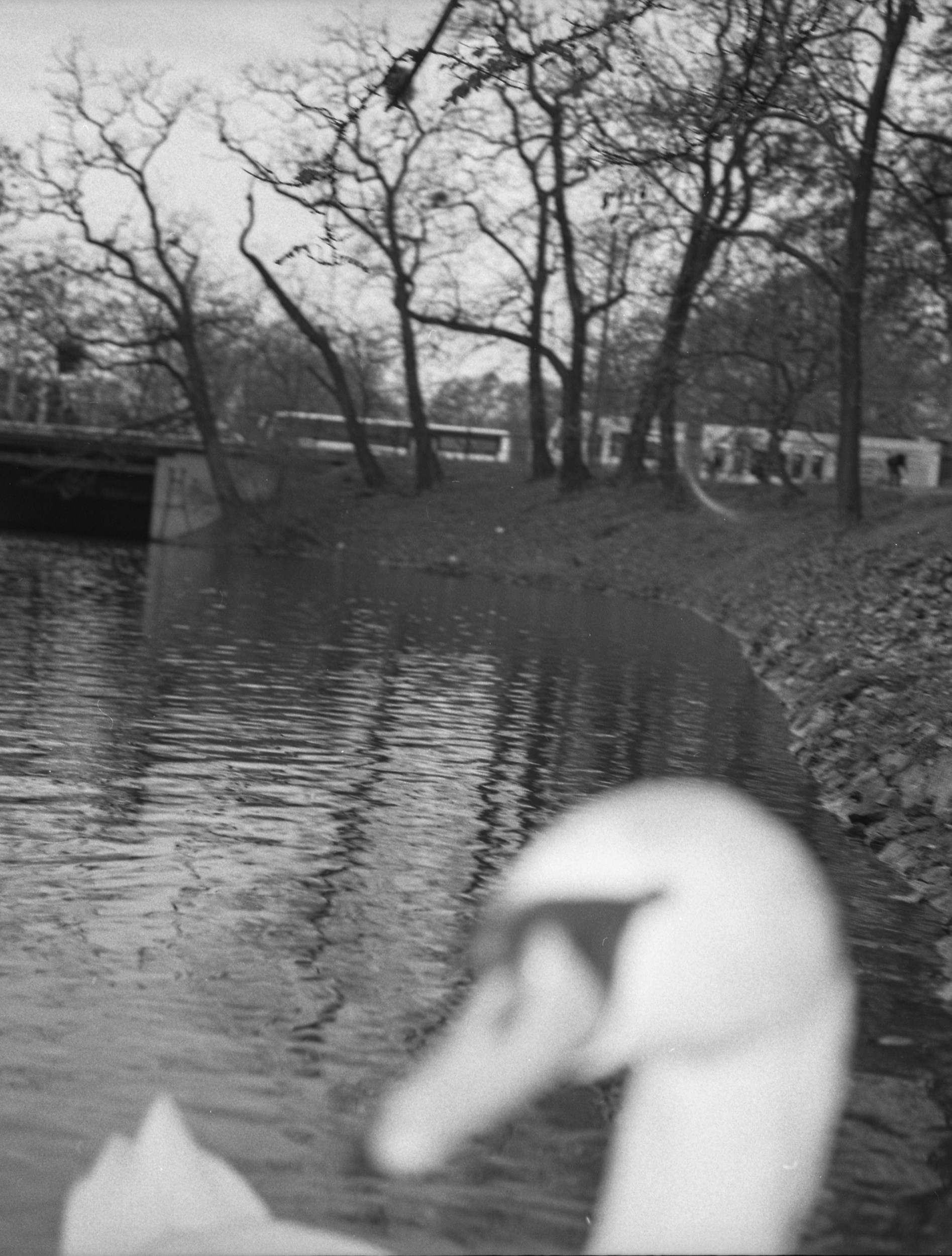 I forgot where I end. Photographer, Documentary and Art